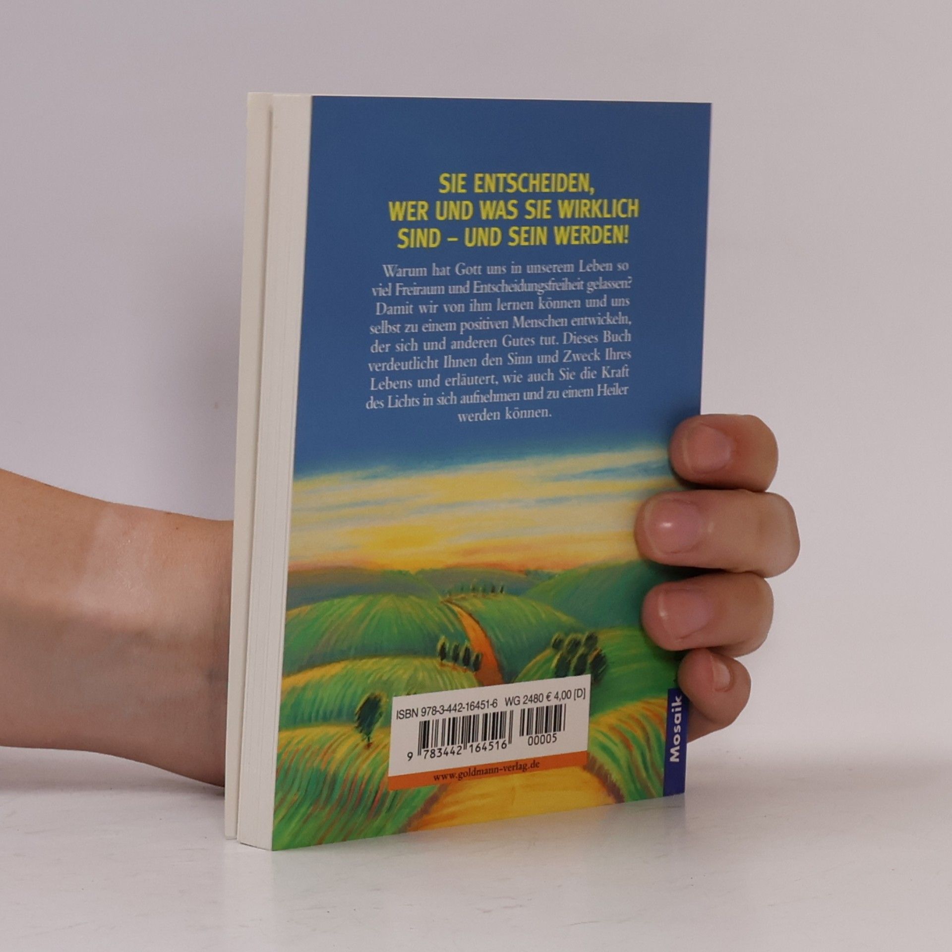 Neale Donald Walsch Bring Licht in die Welt