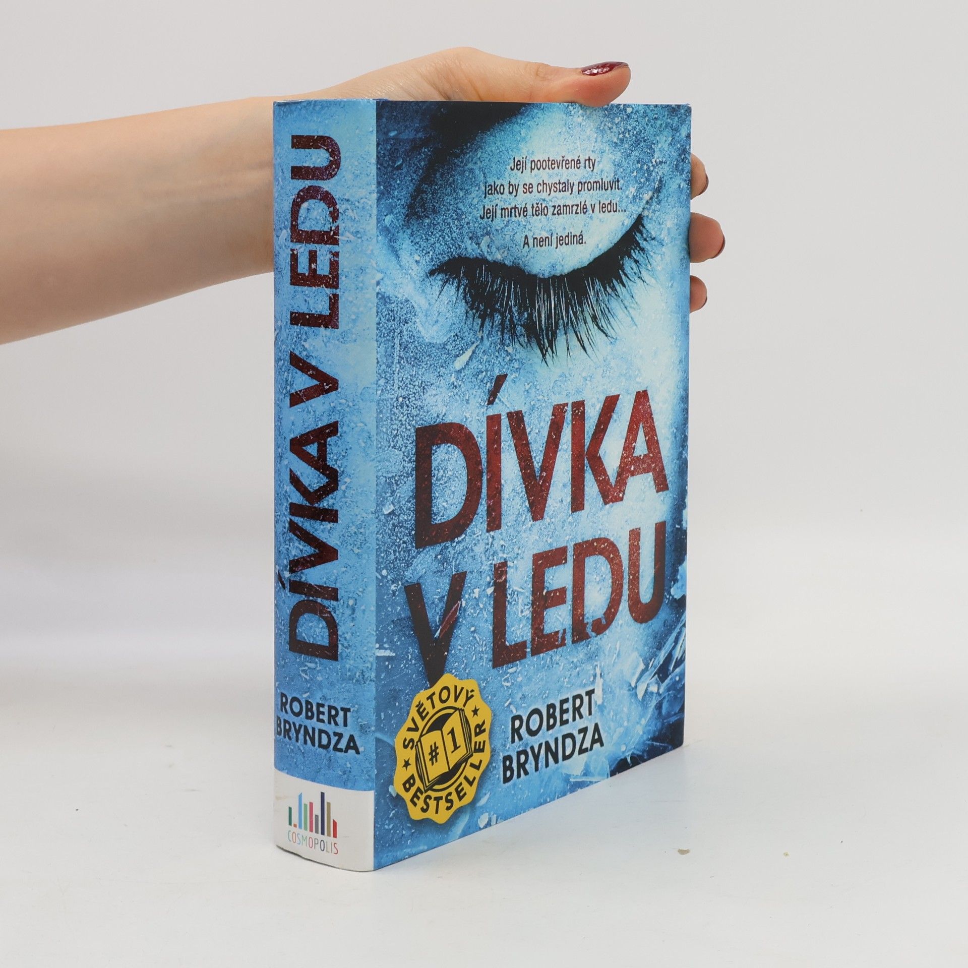 Robert Bryndza Dívka v ledu