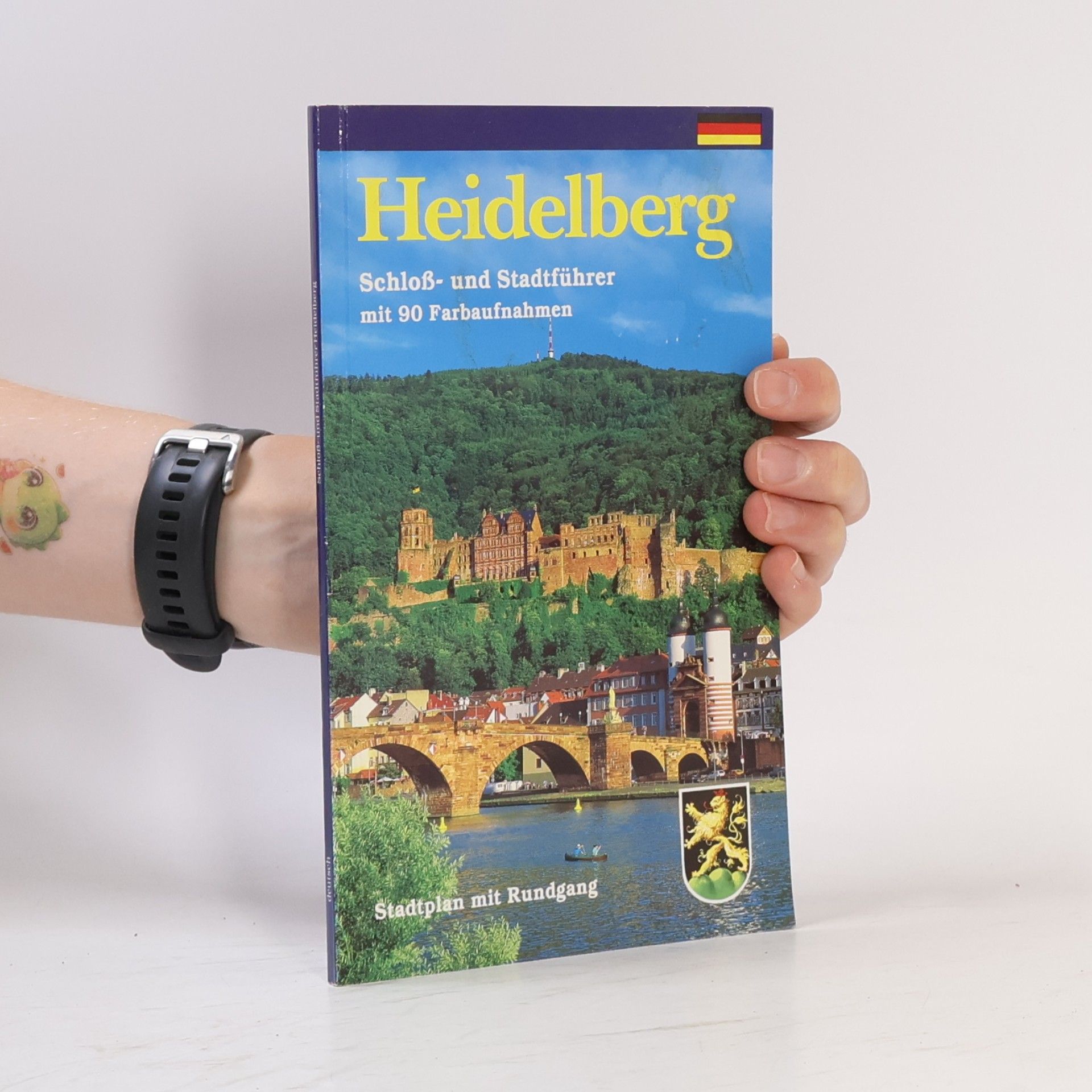Heidelberg am Neckar