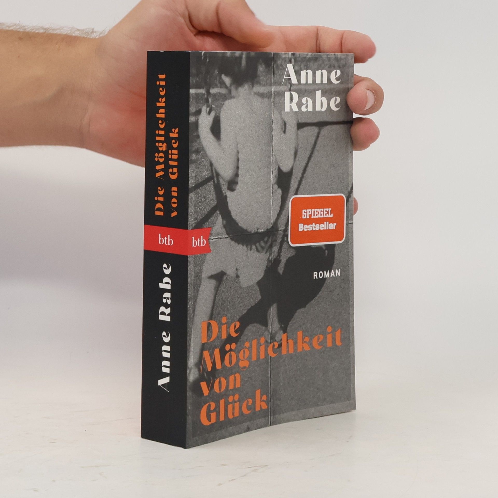 Anne Rabe Die Möglichkeit von Glück