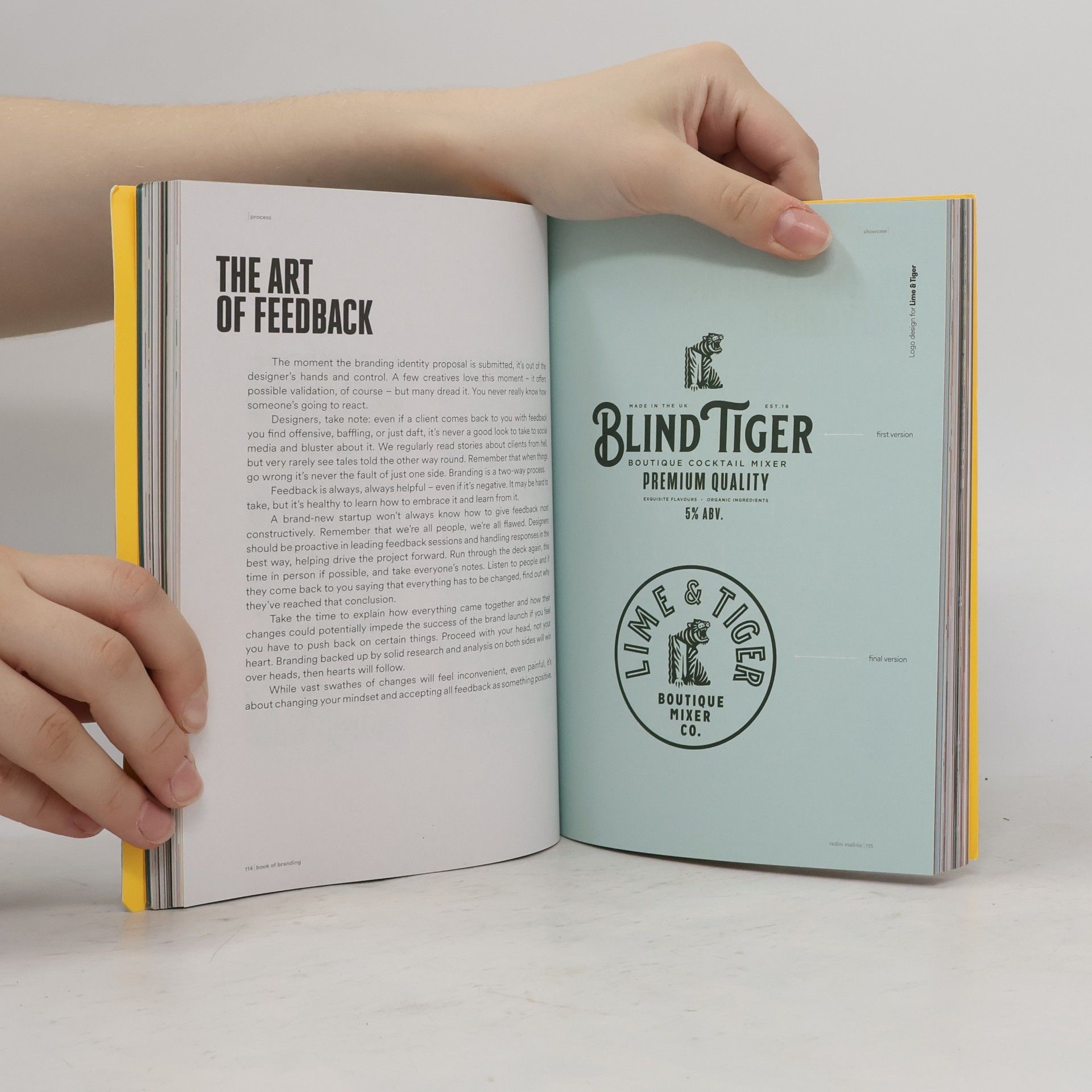 Radim Malinic Book of Branding