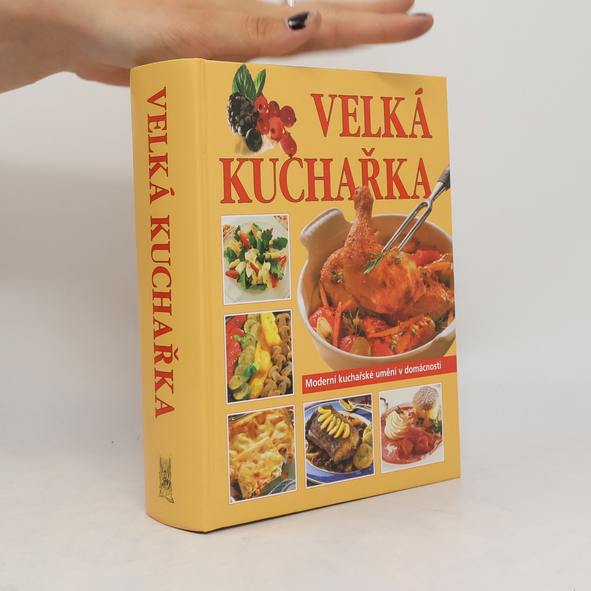 Autorenkollektiv Velká kuchařka