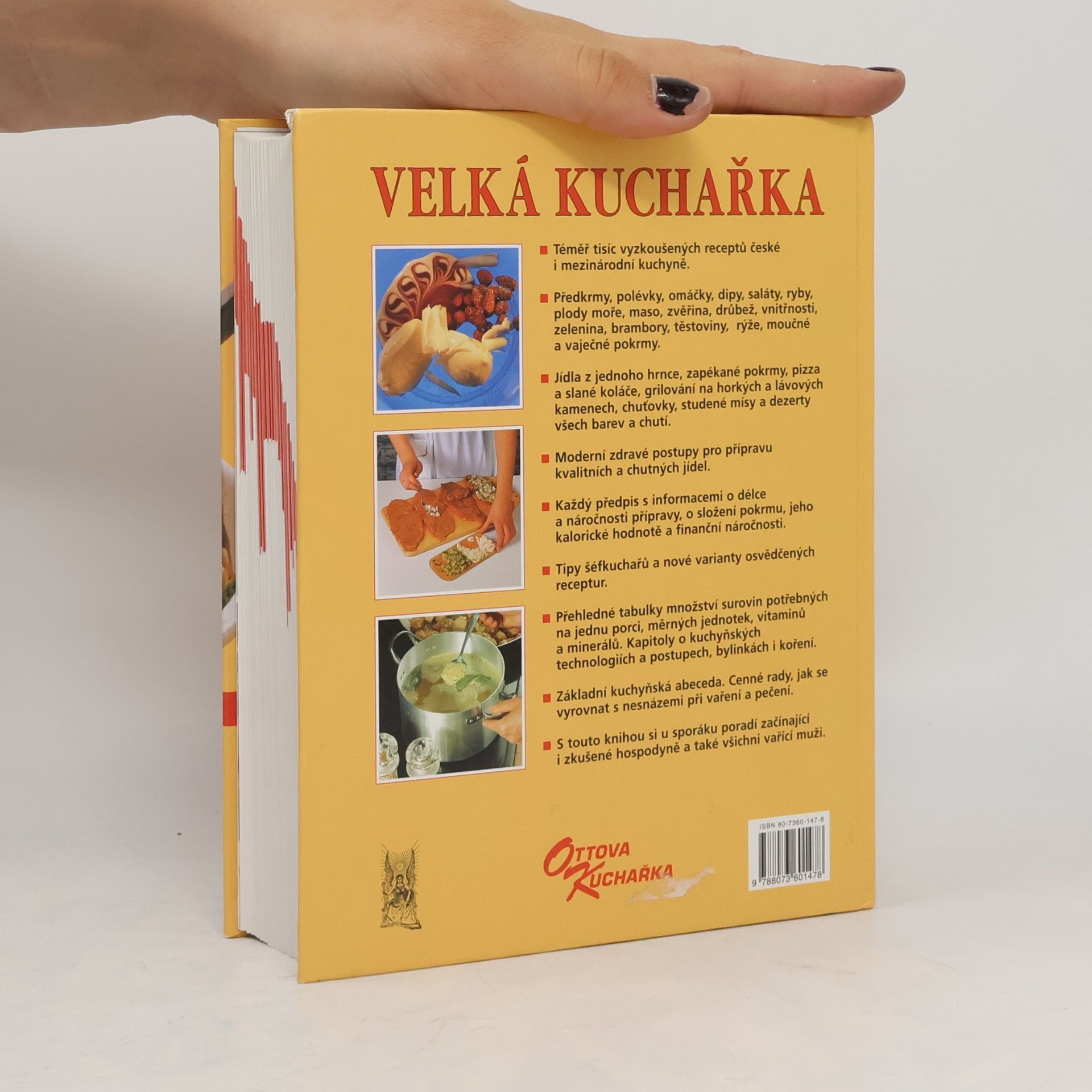 Kolektiv autorů Velká kuchařka