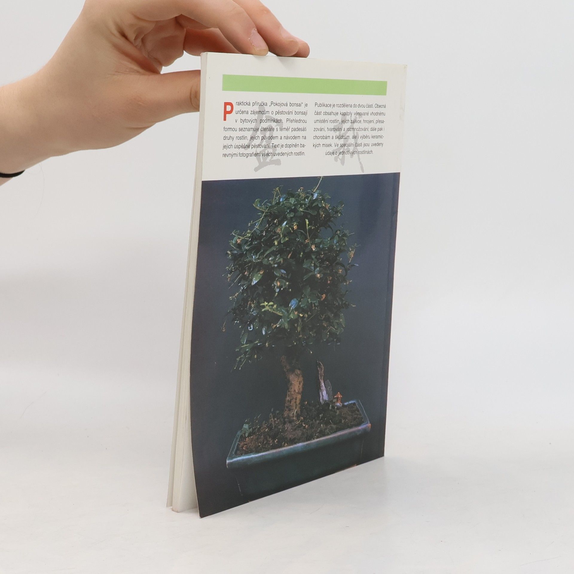 Jindřich Votýpka Pokojová bonsai