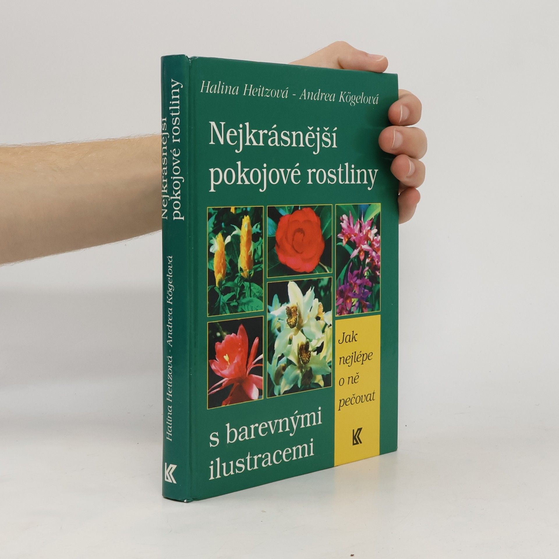 Nejkrásnější pokojové rostliny
