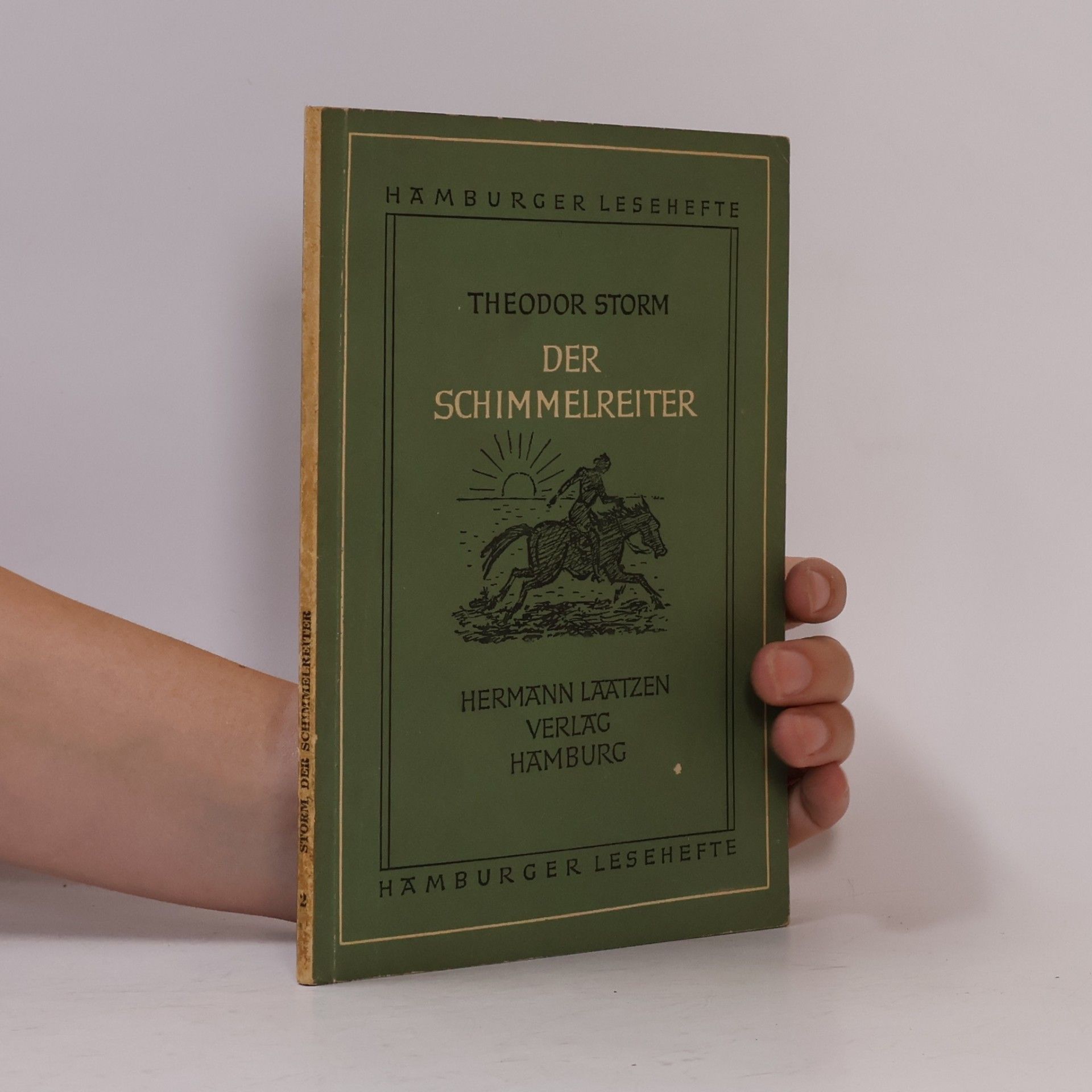 Theodor Storm Der Schimmelreiter 2