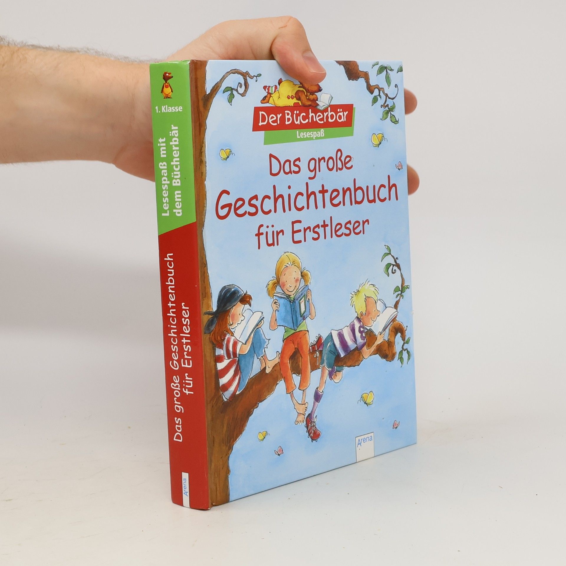 Collectif d'auteurs Das große Geschichtenbuch für Erstleser