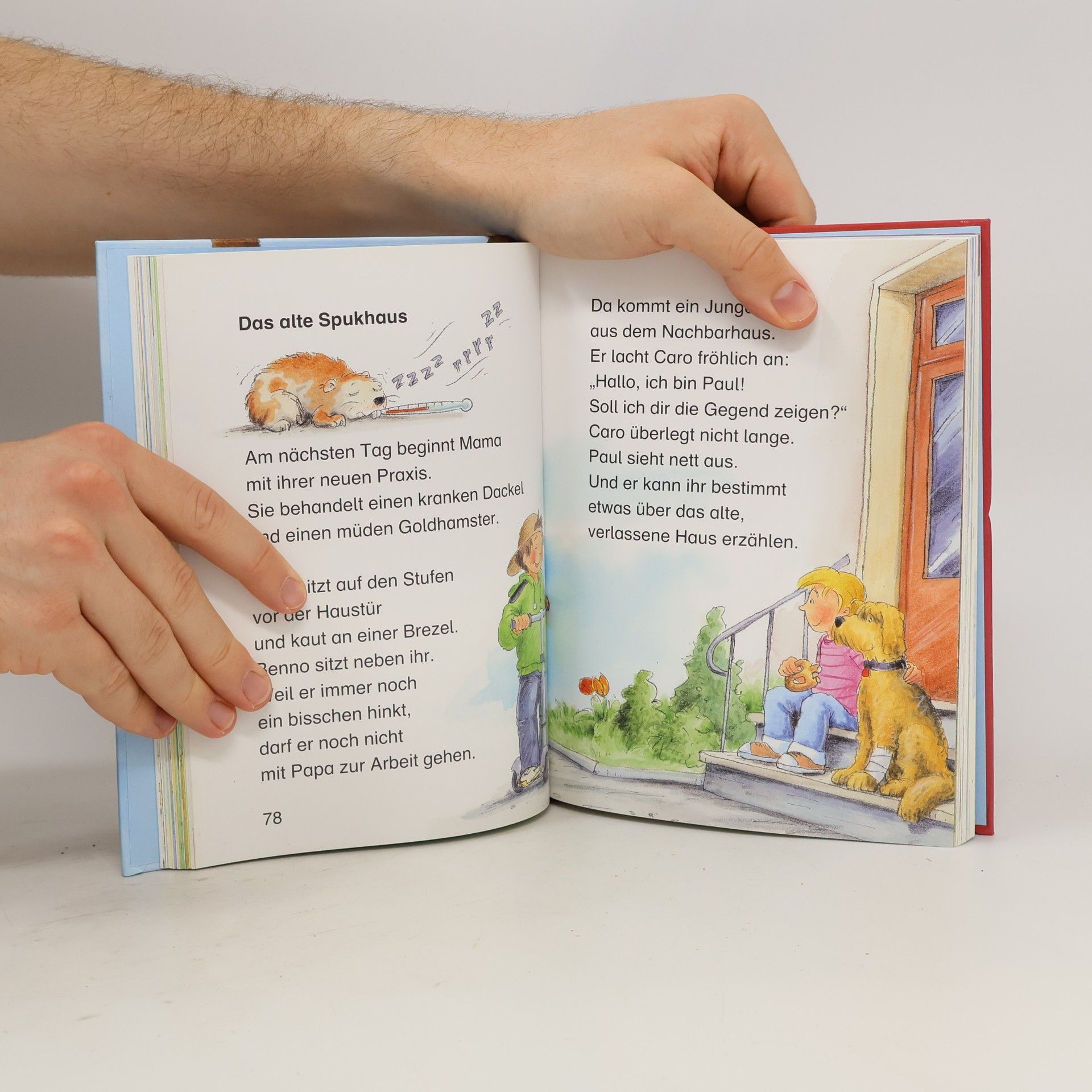 Collectif d'auteurs Das große Geschichtenbuch für Erstleser