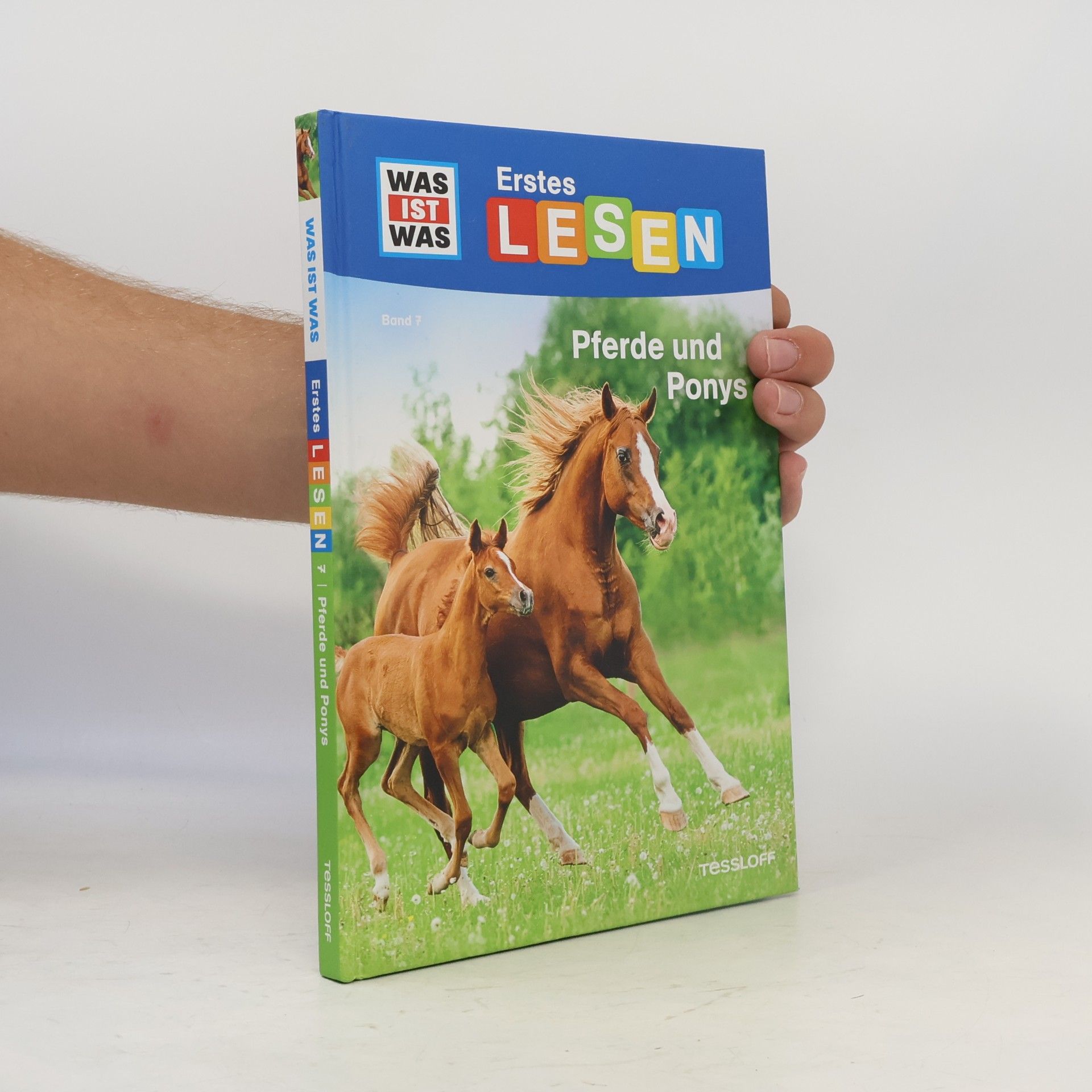 Christina Braun Pferde und Ponys