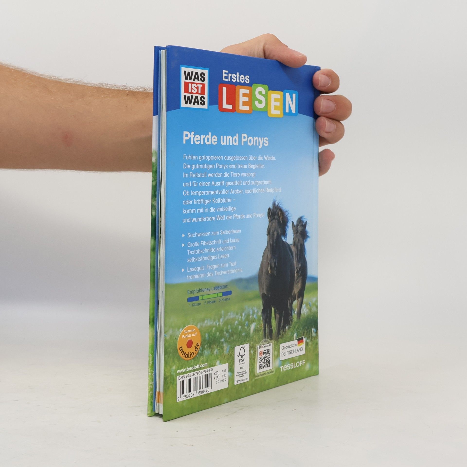 Christina Braun Pferde und Ponys