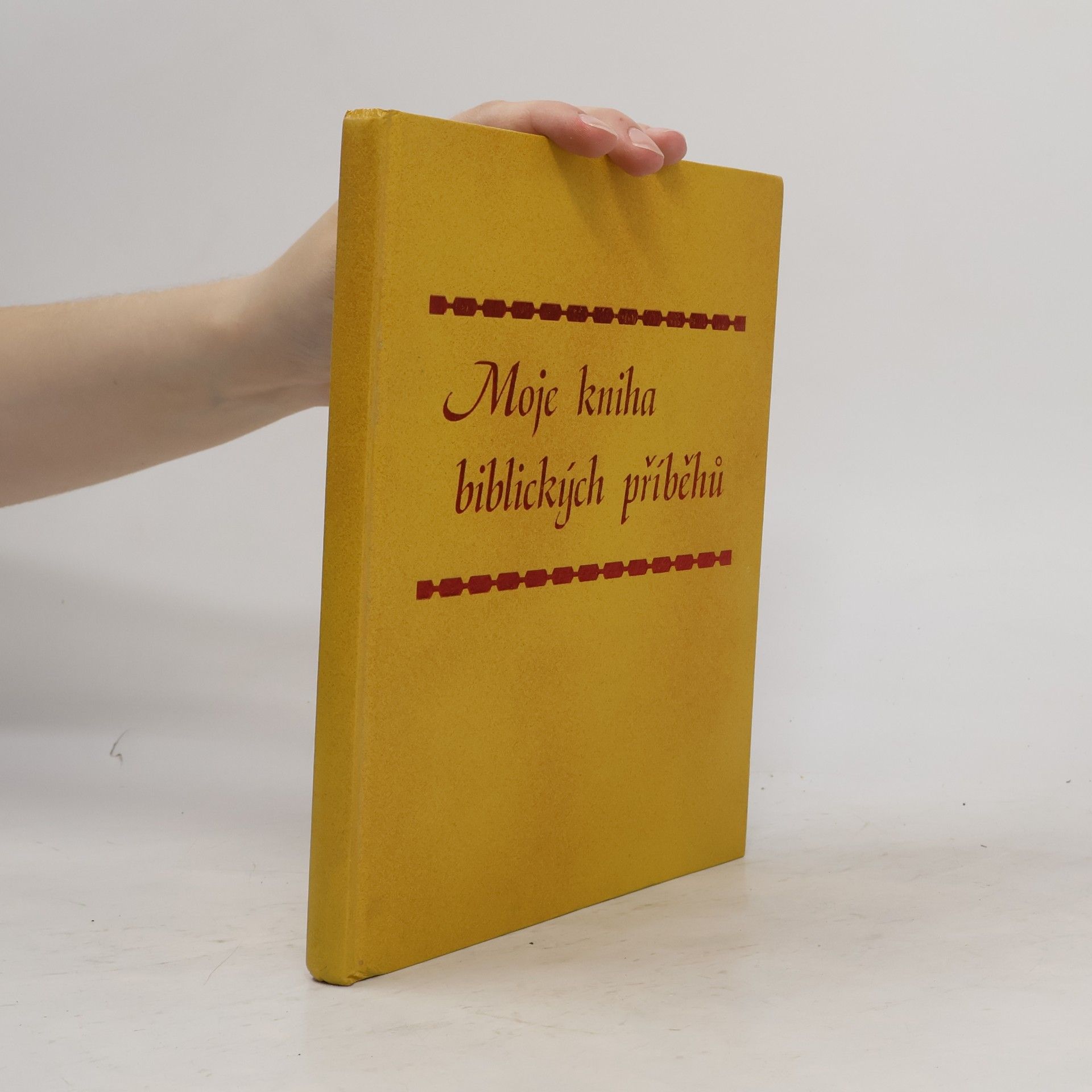 Kolektiv autorů Moje kniha biblických příběhů