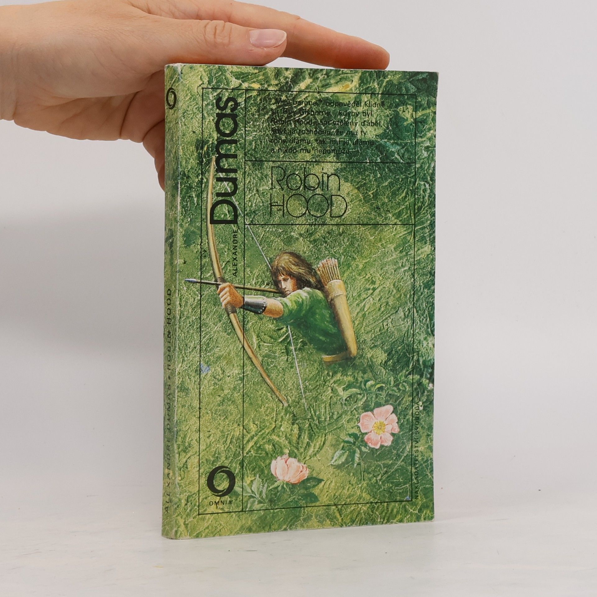 Alexandre Dumas Robin Hood