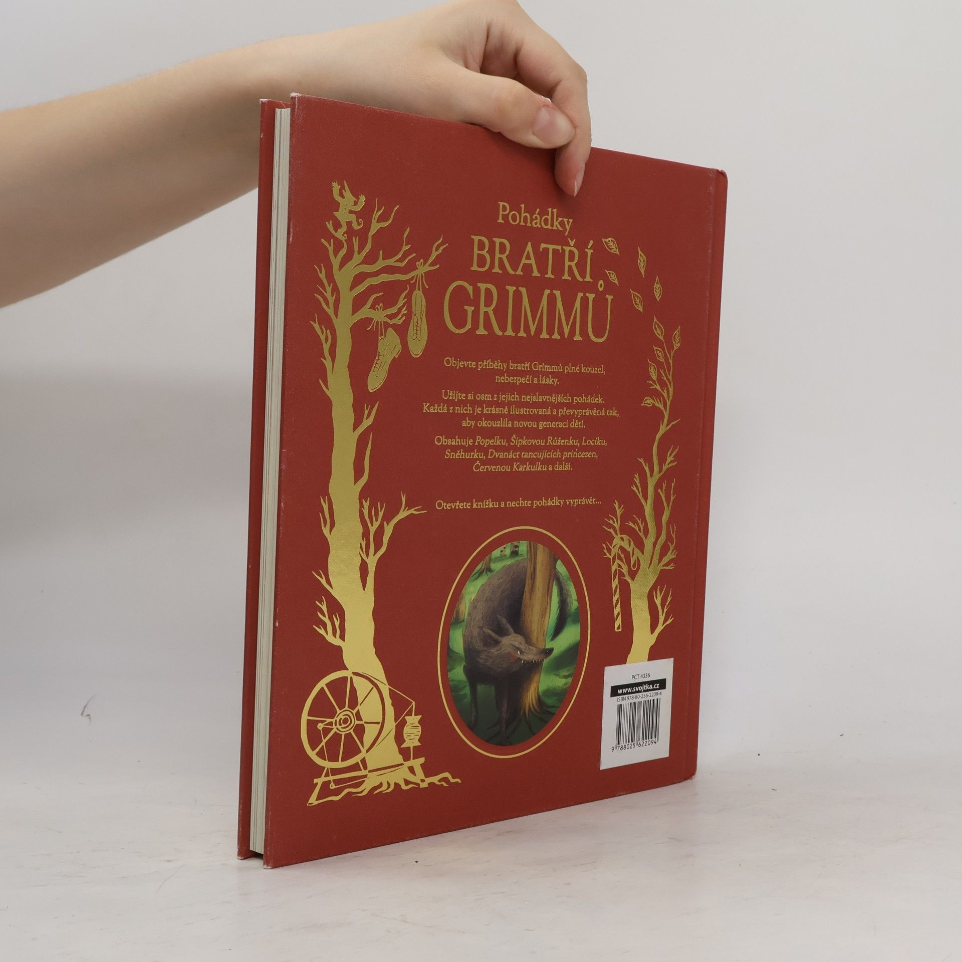 Jacob Grimm Pohádky bratří Grimmů
