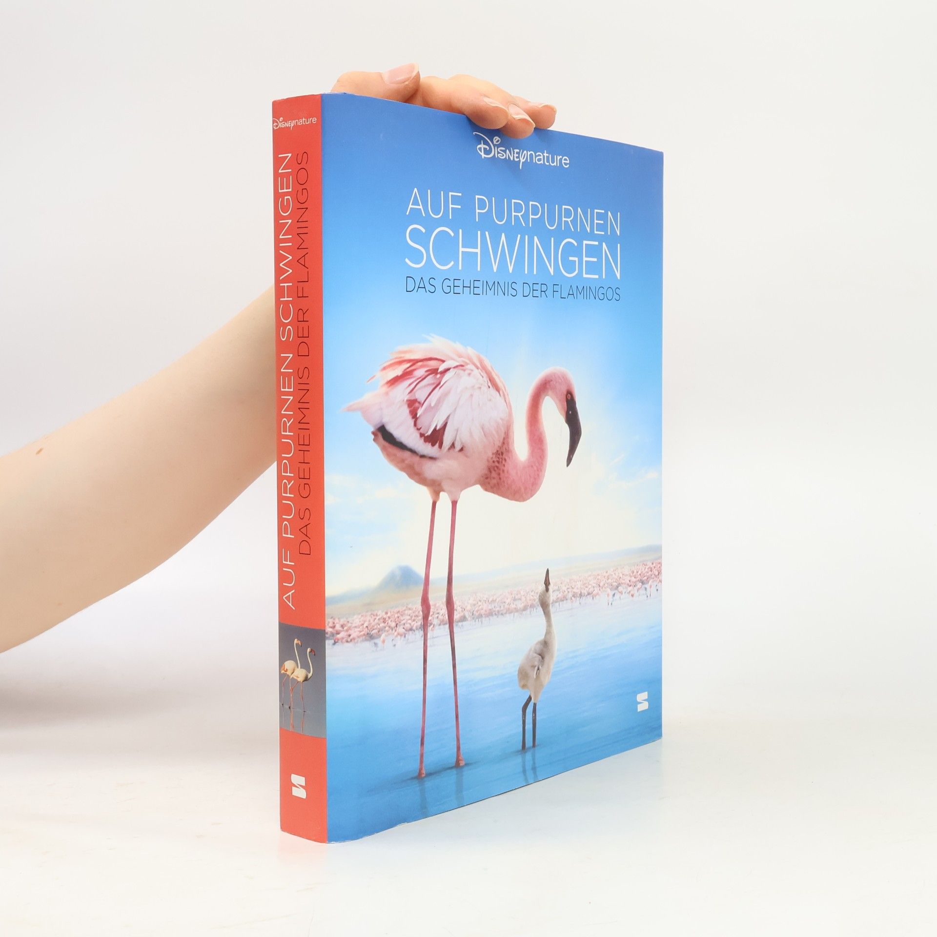 Arnaud Béchet Auf purpurnen Schwingen