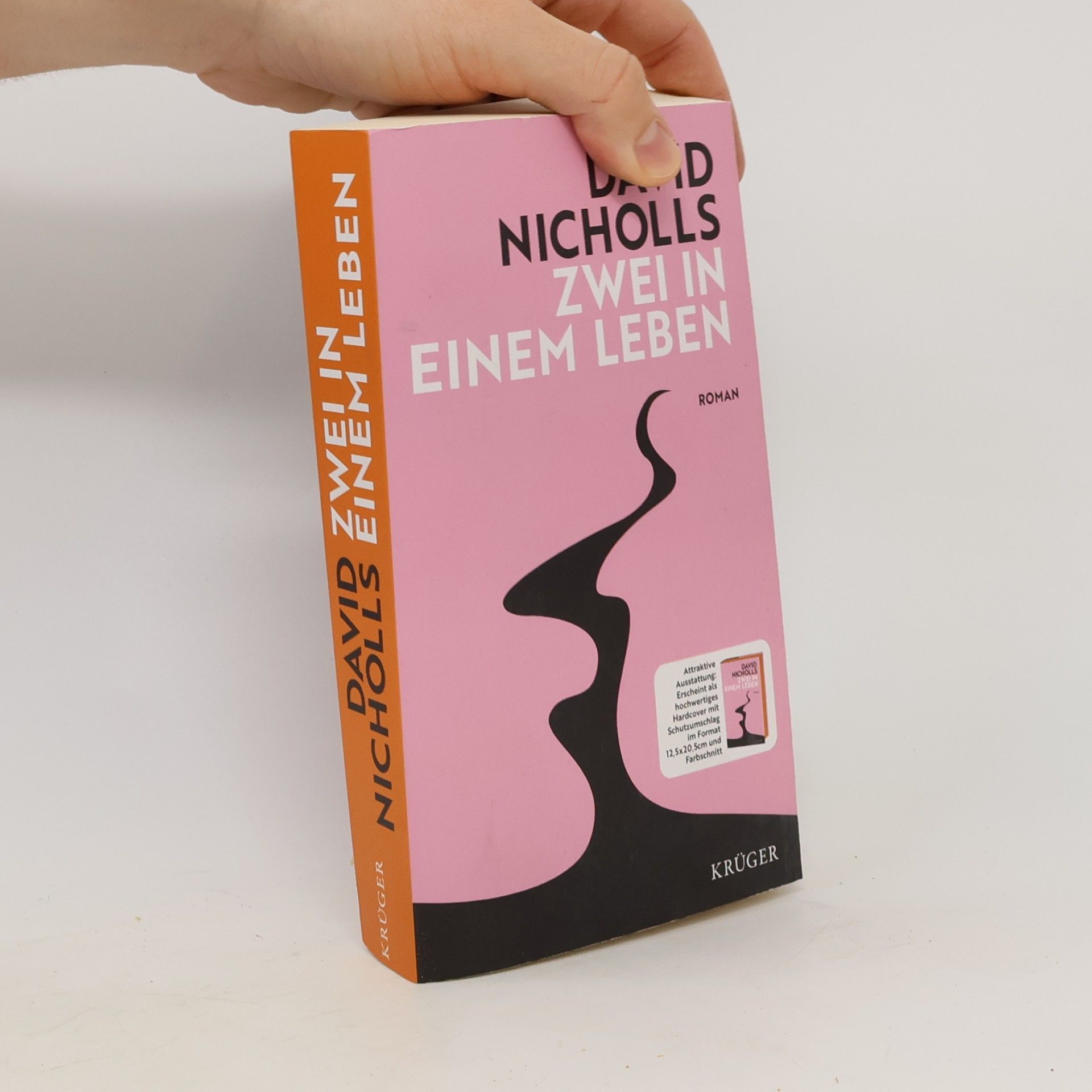 David Nicholls Zwei in einem Leben