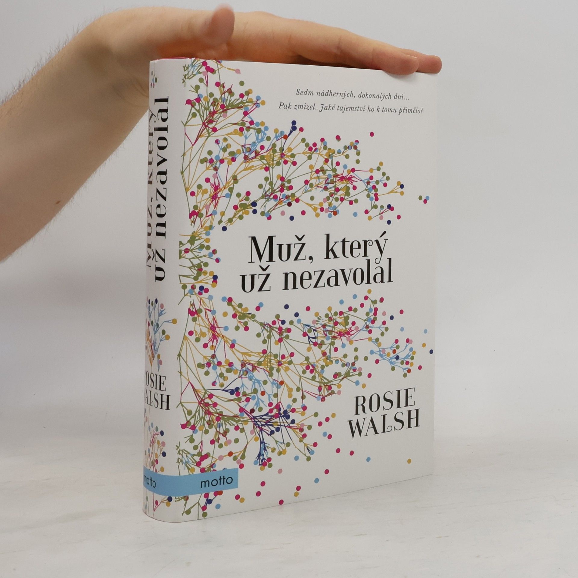 Rosie Walsh Muž, který už nezavolal