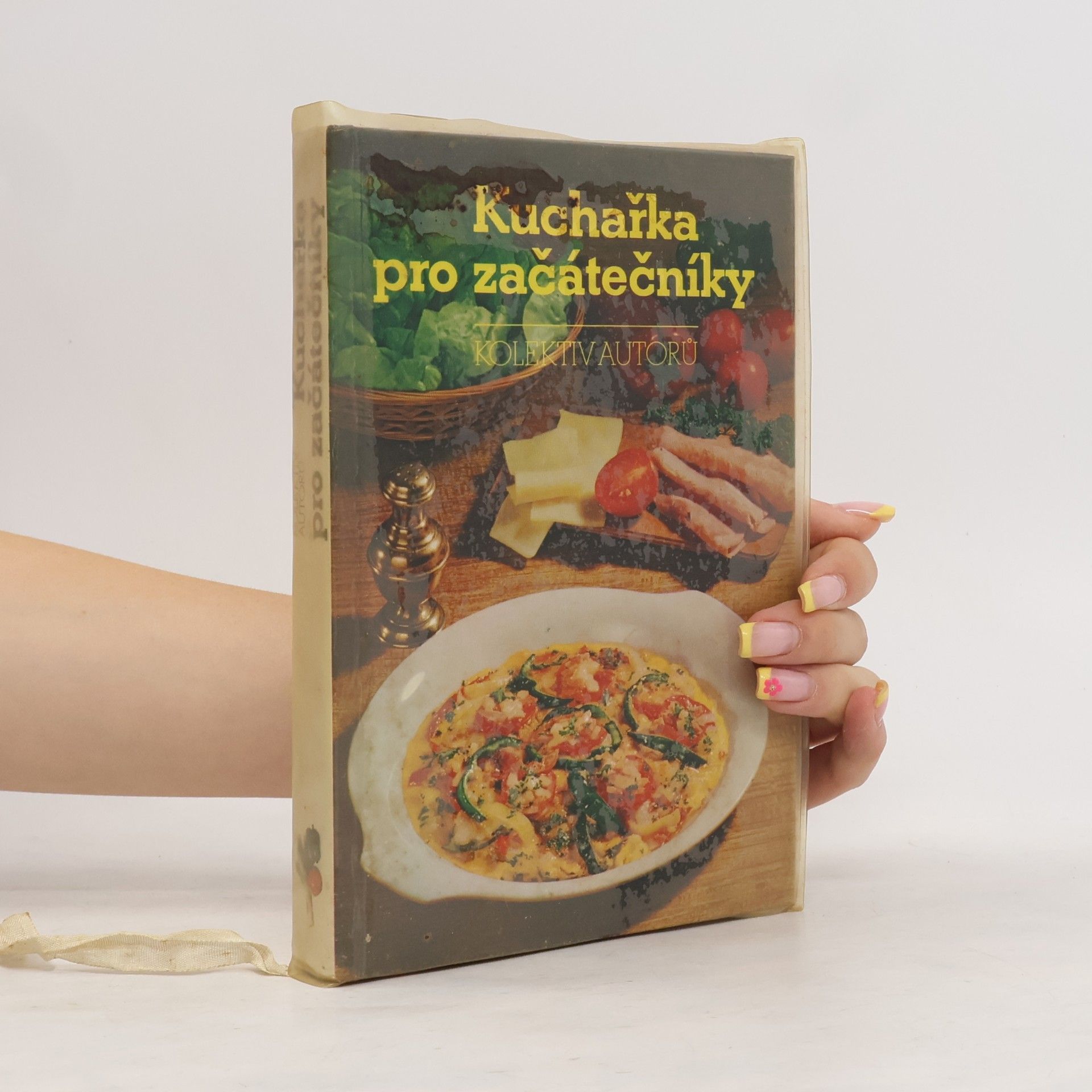 Marie Voldánová Kuchařka pro začátečníky