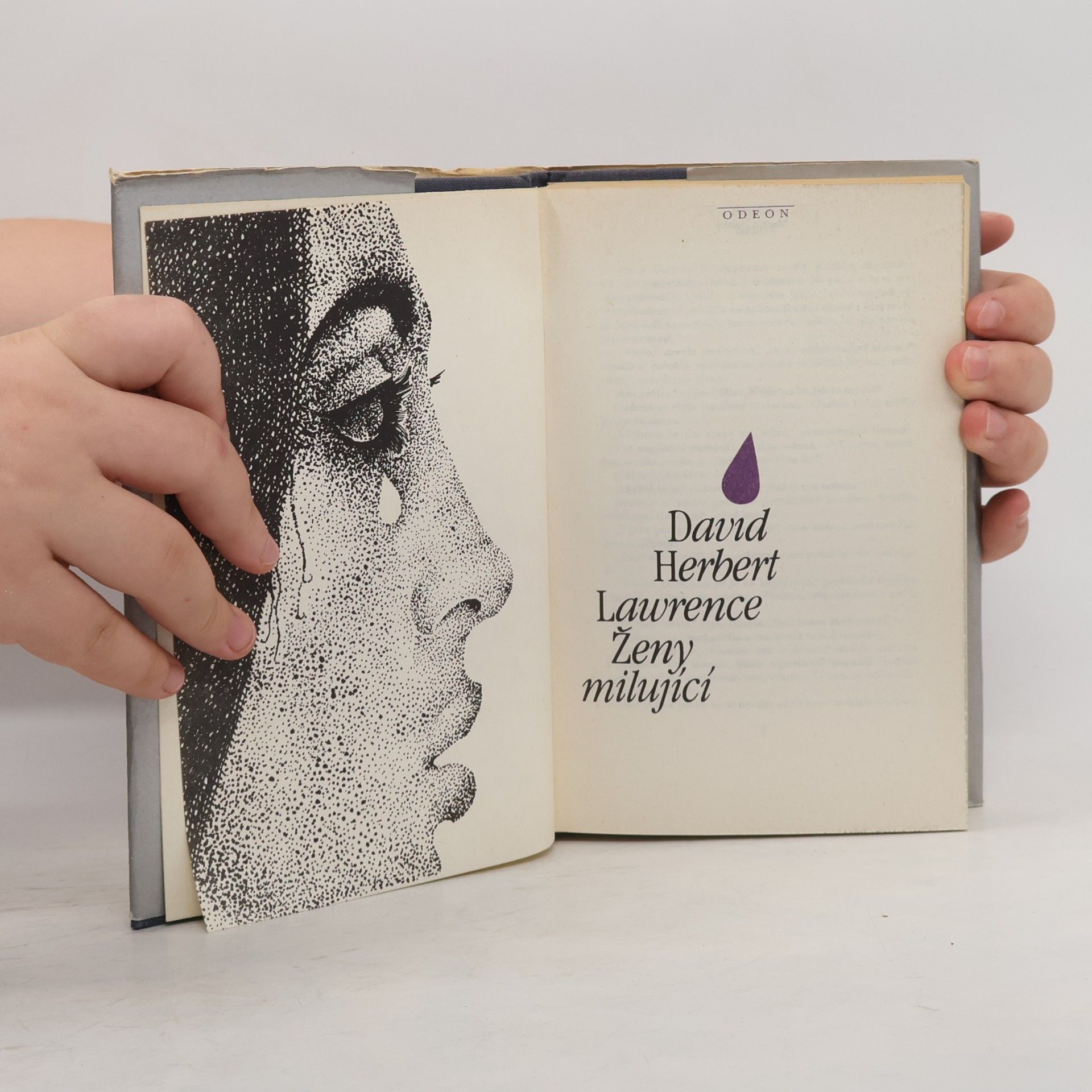 David Herbert Lawrence Ženy milující