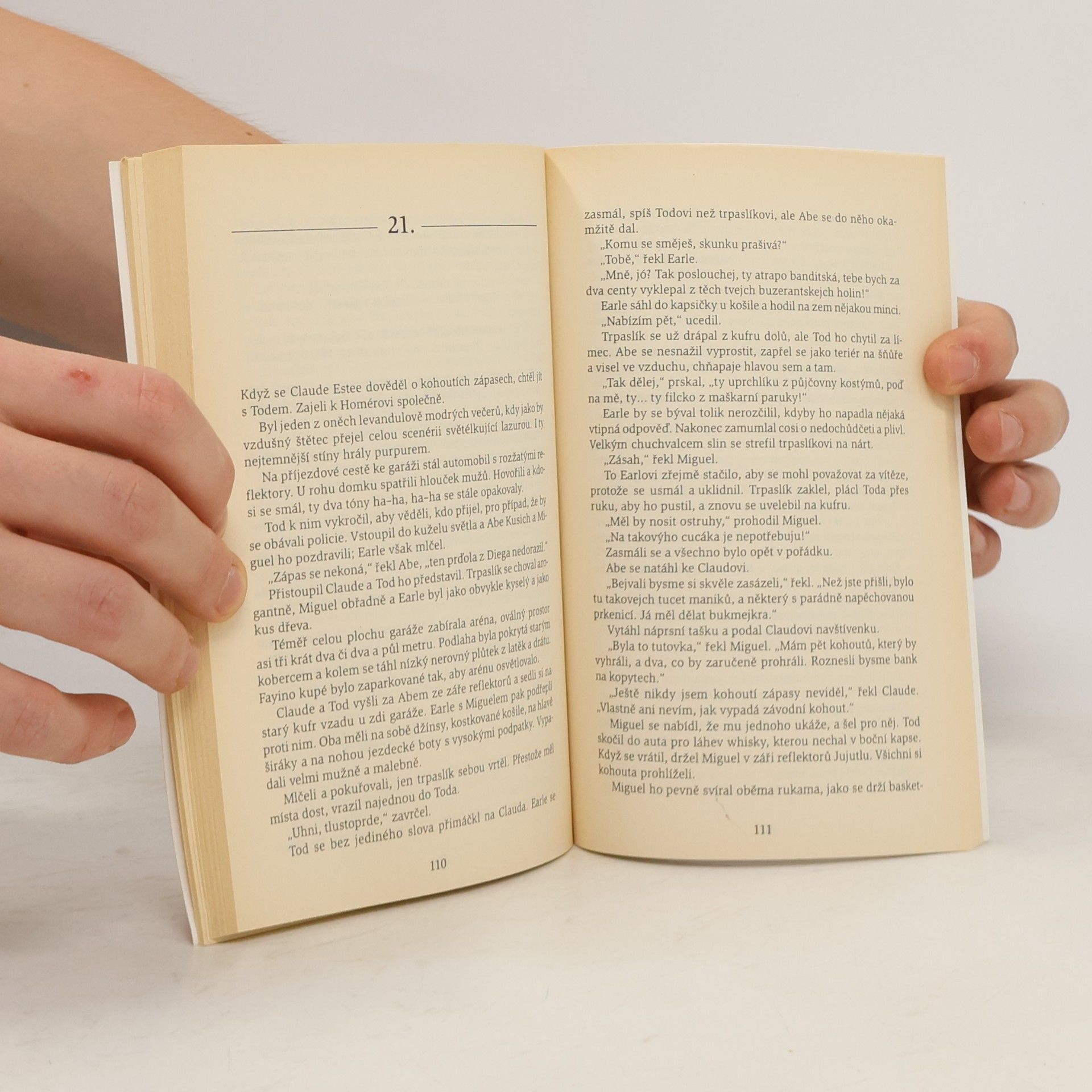 Nathanael West Den kobylek