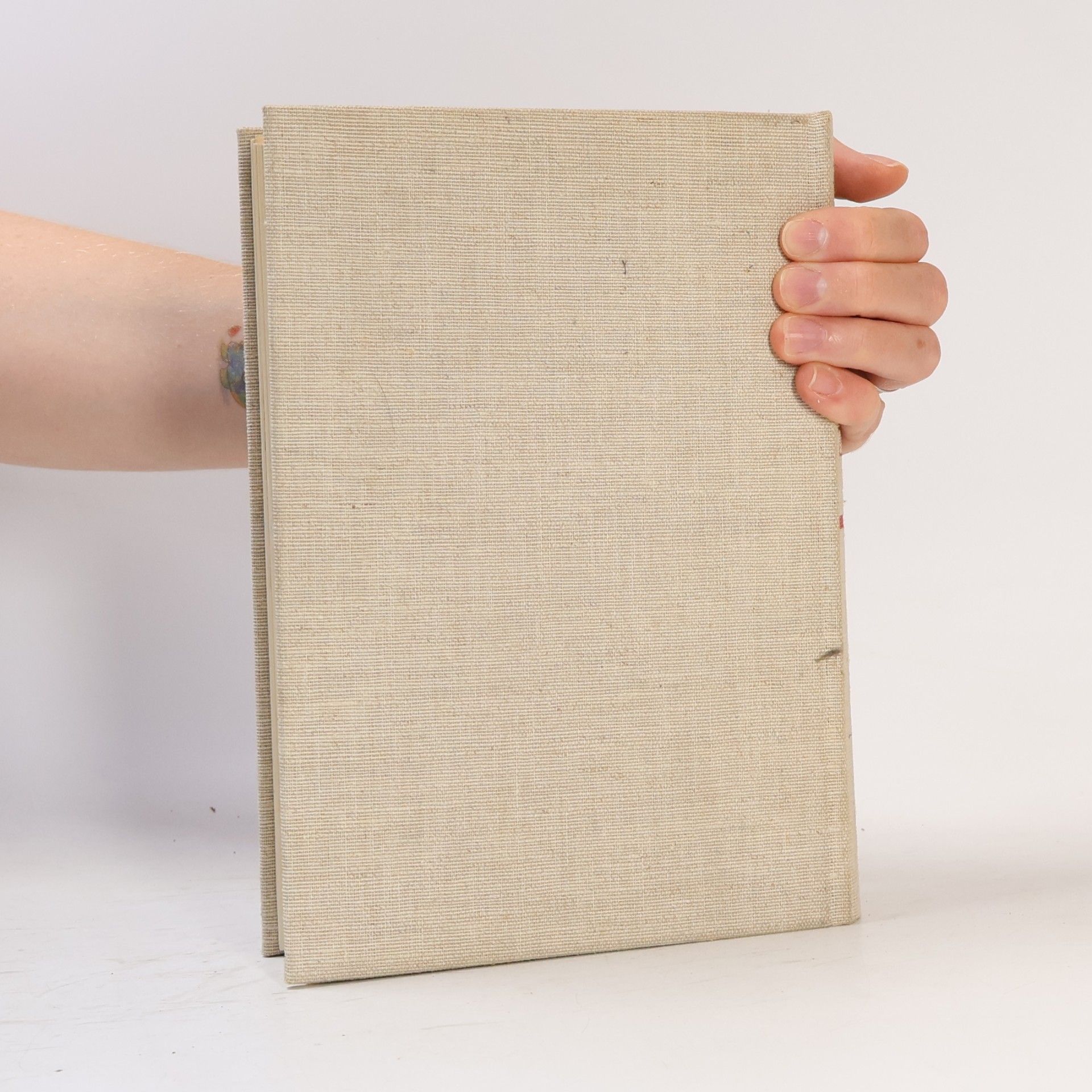 Knaurs Tierleben Mal - und Zeichen Buch