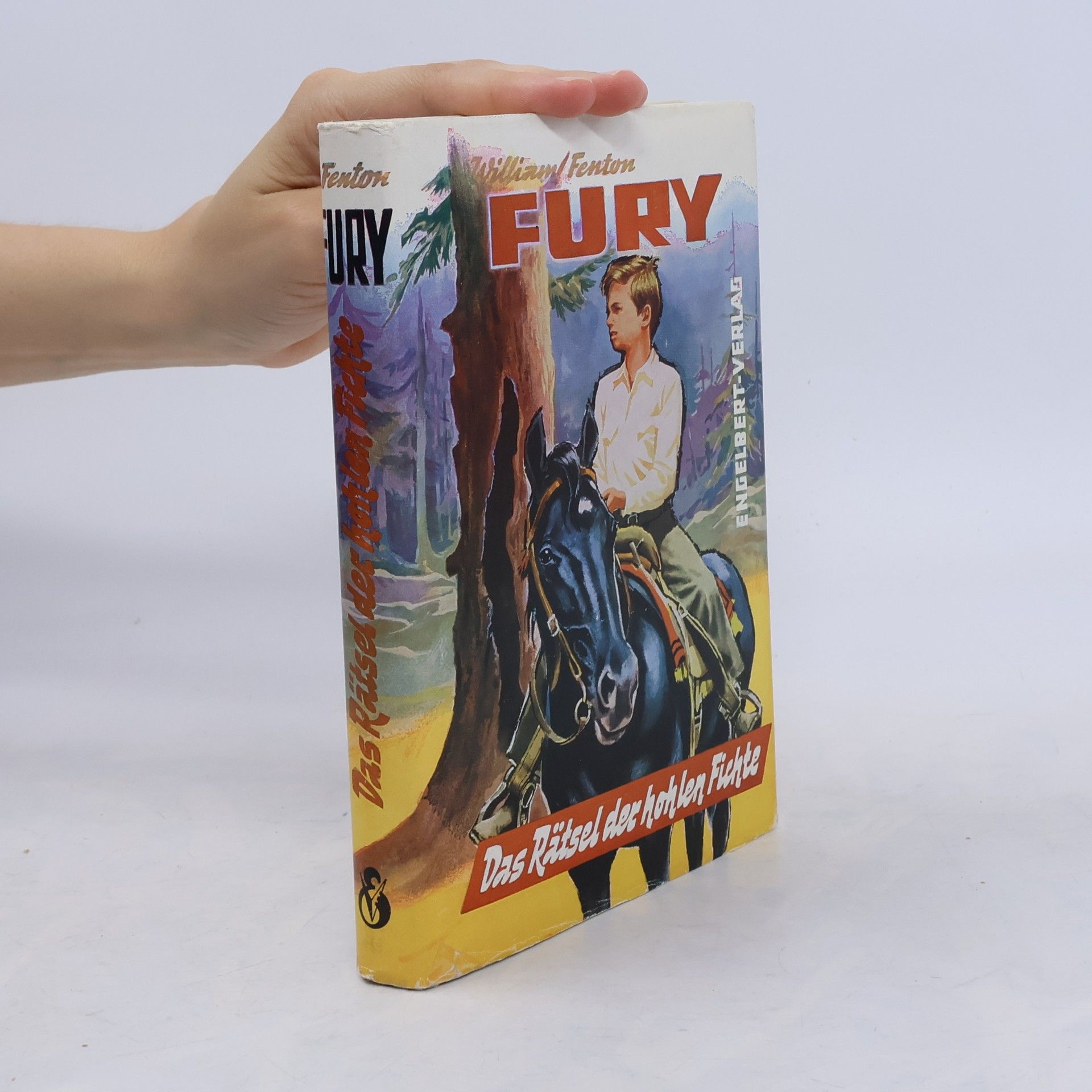 Fury