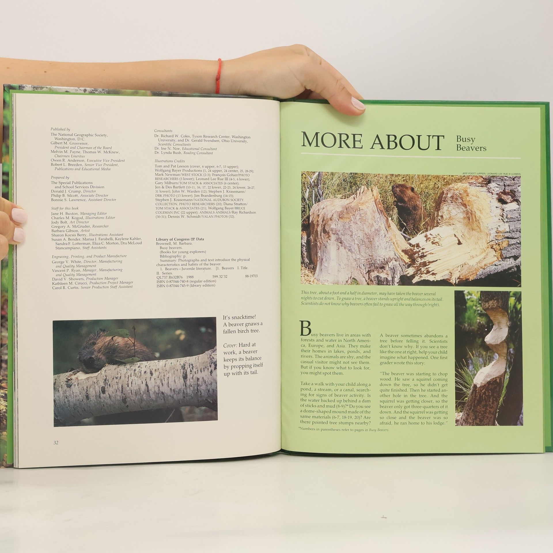 M. Barbara Brownell Books for Young Explorers: Busy Beavers