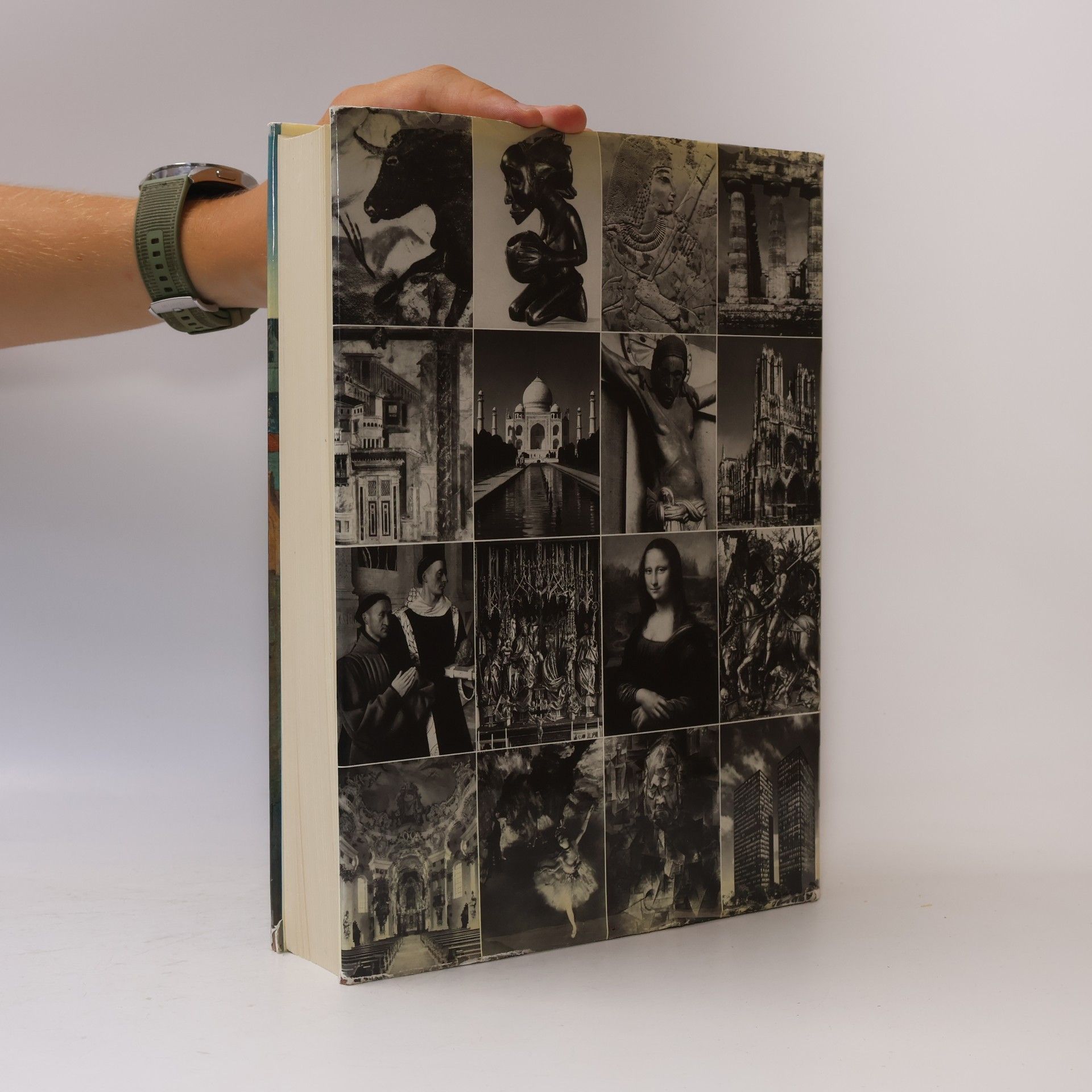 Horst W. Janson DuMonts Kunstgeschichte unserer Welt