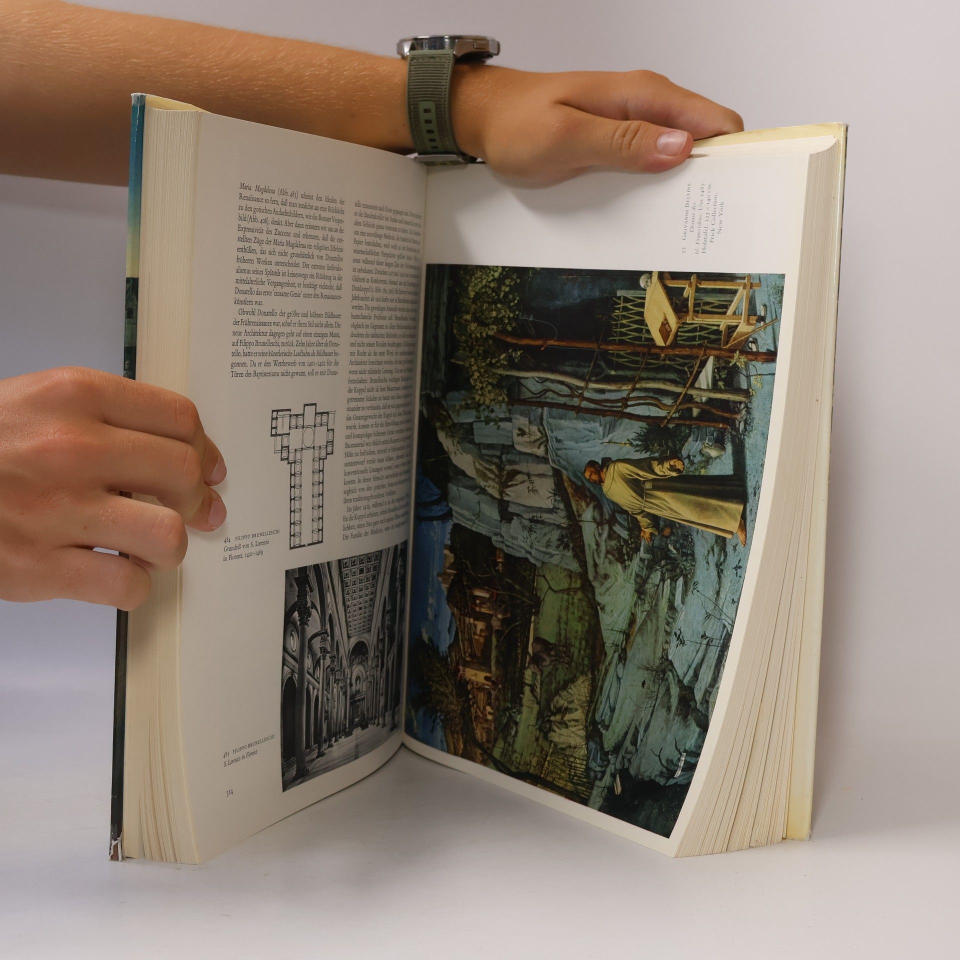 Horst W. Janson DuMonts Kunstgeschichte unserer Welt