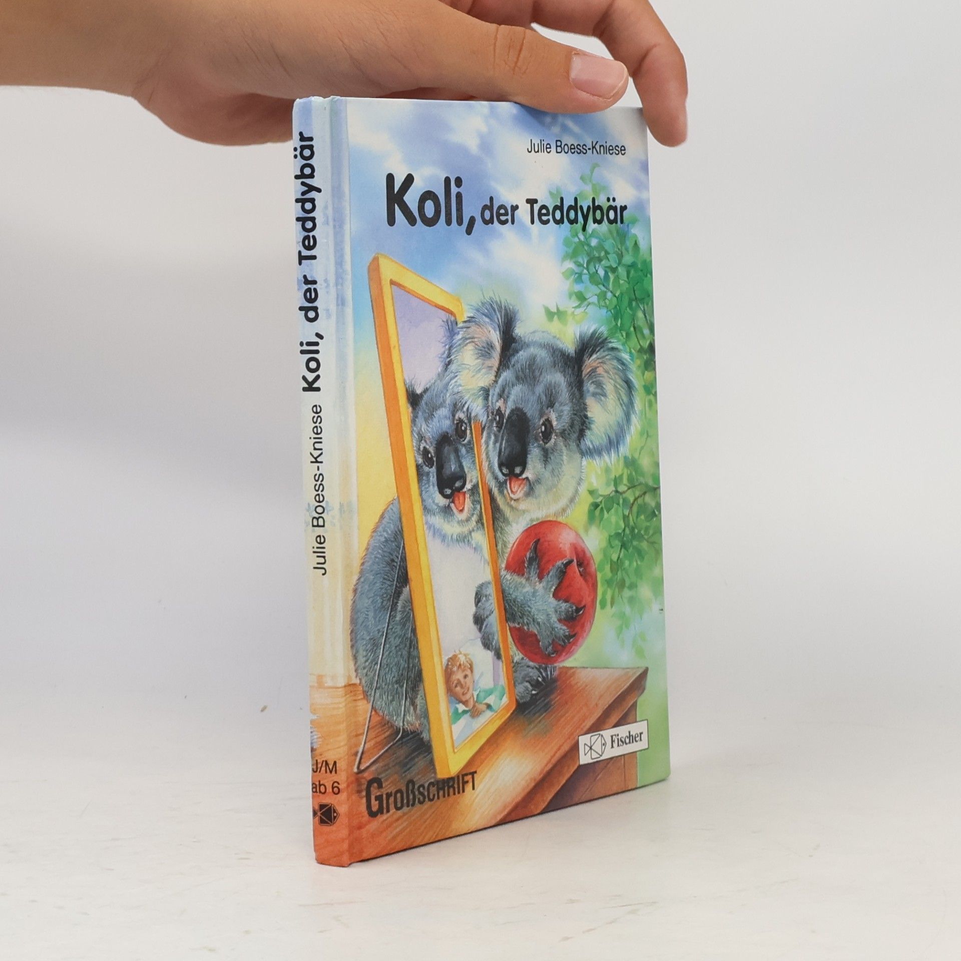 Julie Boess-Kniese Koli, der Teddybär. Großschrift