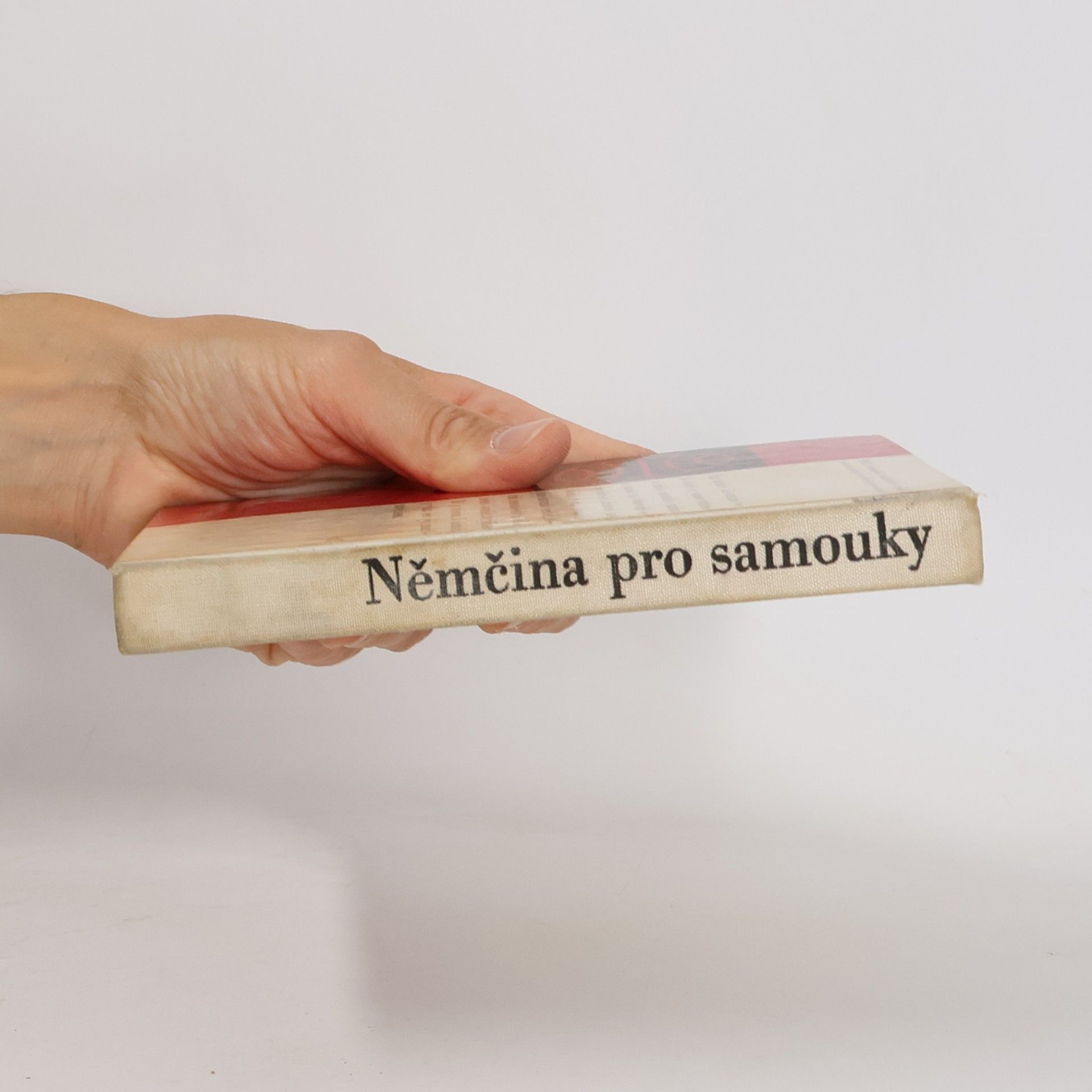 Štěpán Zapletal Němčina pro samouky