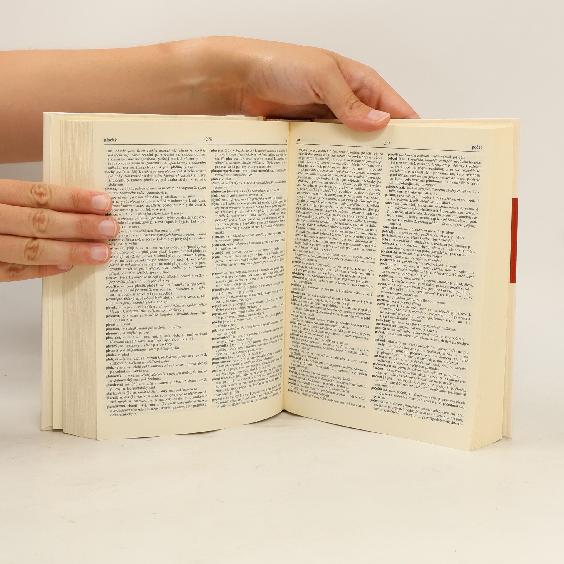 Autorenkollektiv Slovník spisovné češtiny pro školu a veřejnost