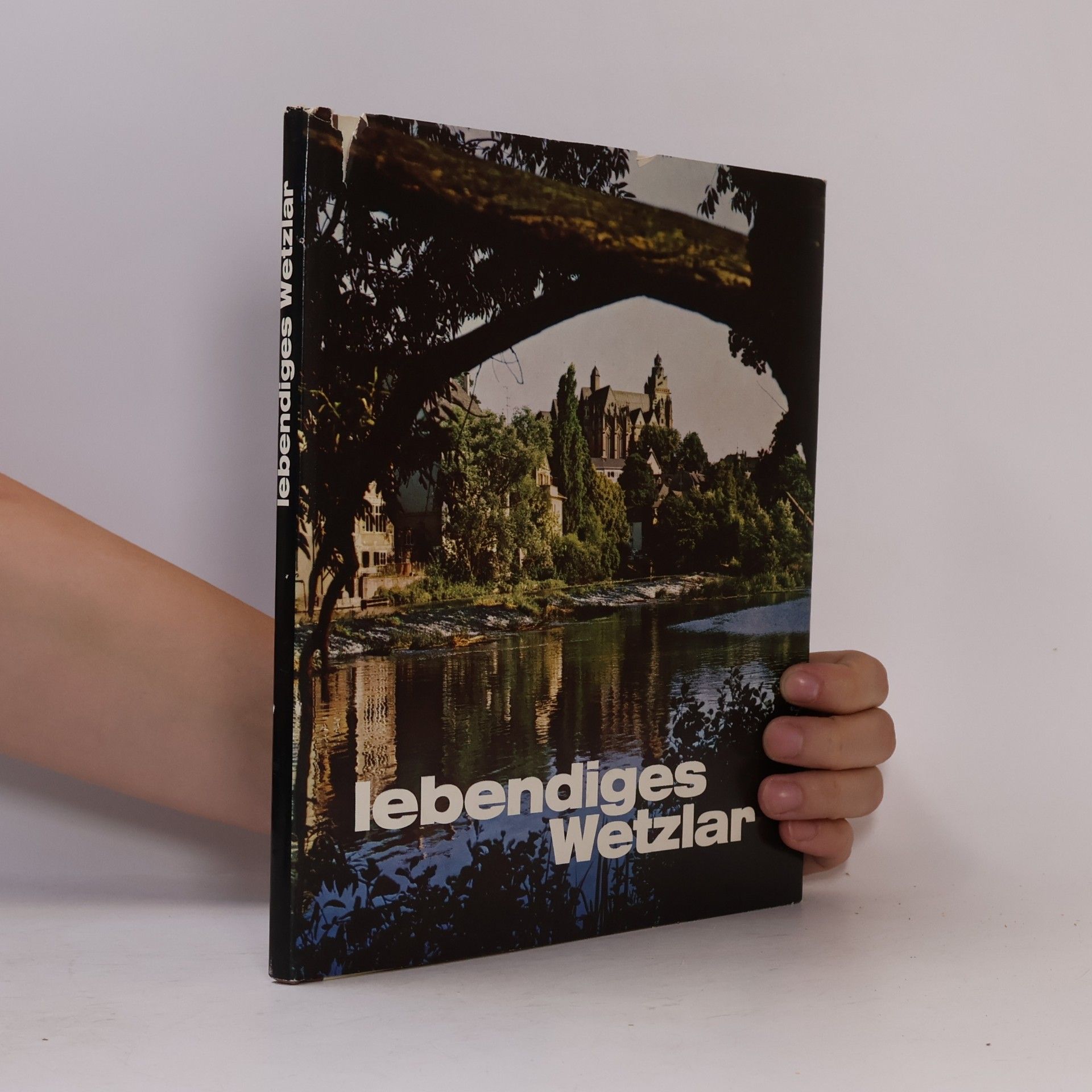 Autorenkollektiv Lebendiges Wetzlar