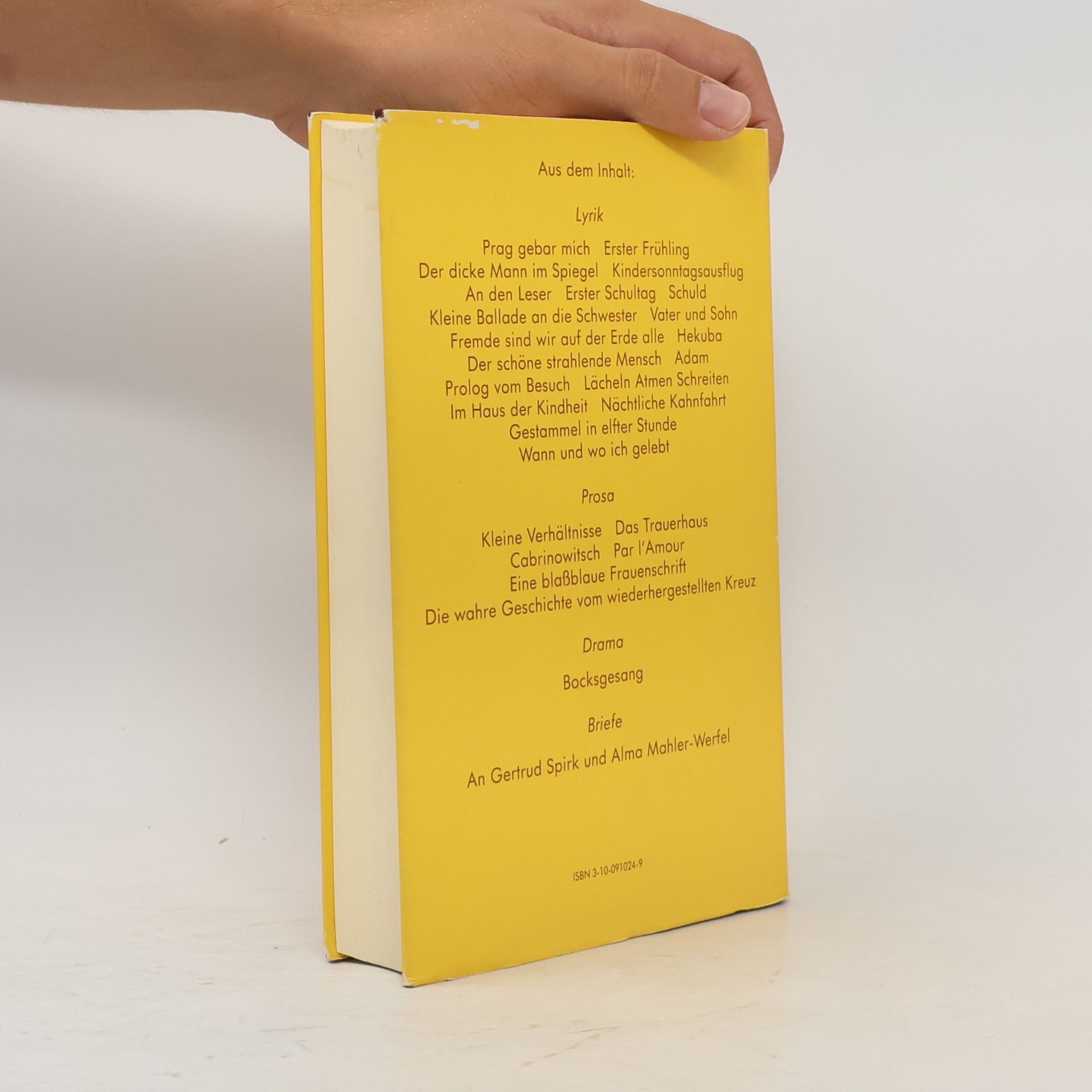 Franz Werfel Das Franz Werfel Buch