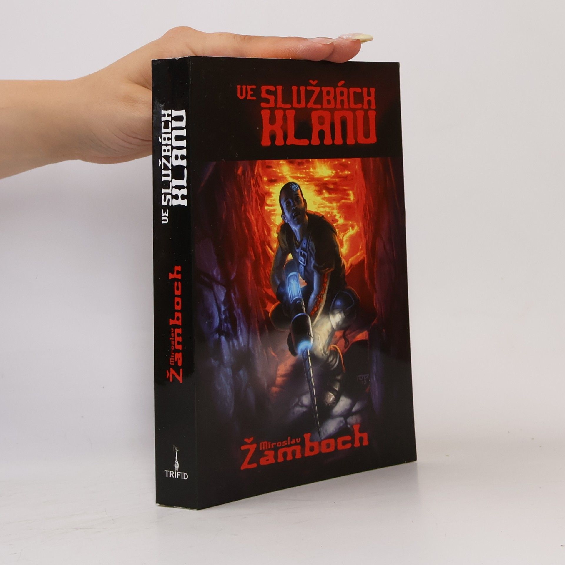 Miroslav Žamboch Ve službách klanu