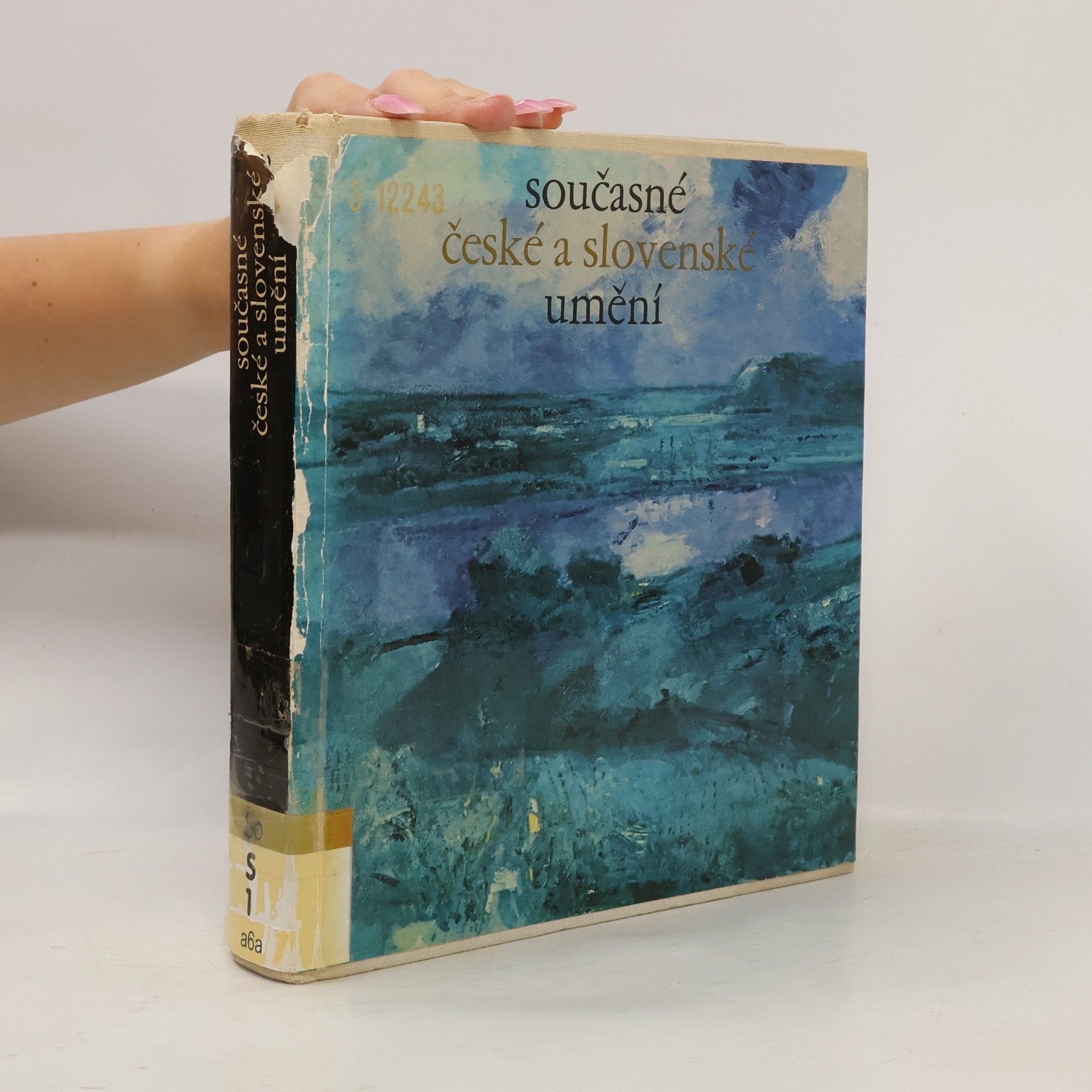Autorenkollektiv Současné české a slovenské umění