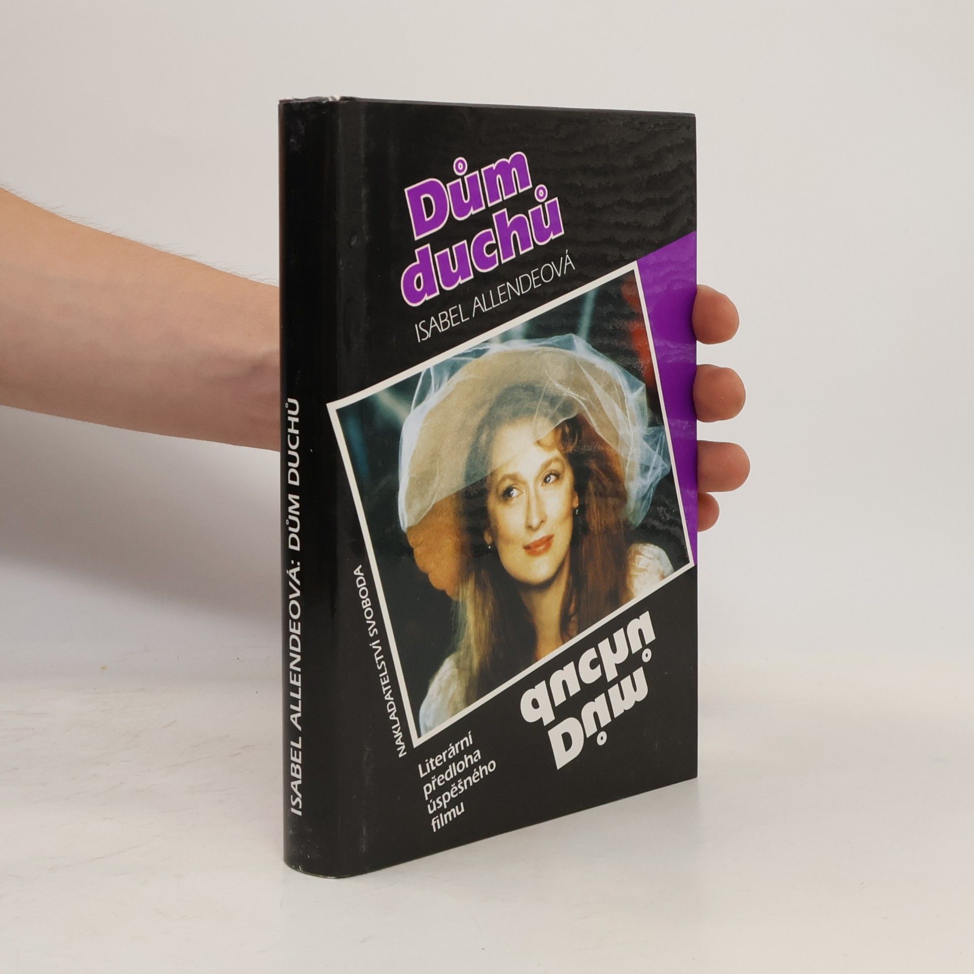 Isabel Allende Dům duchů