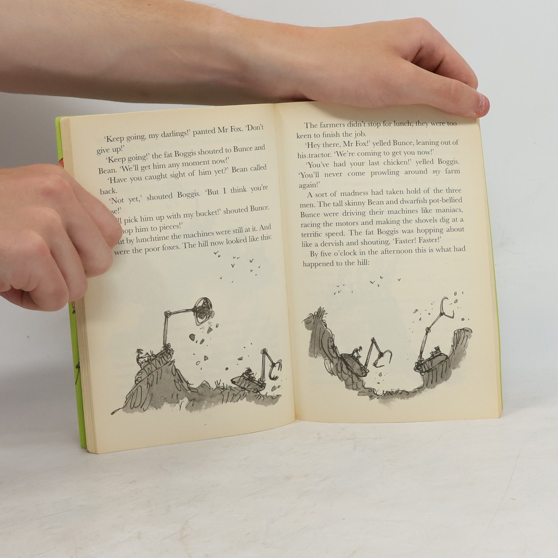 Roald Dahl Fantastic Mr Fox