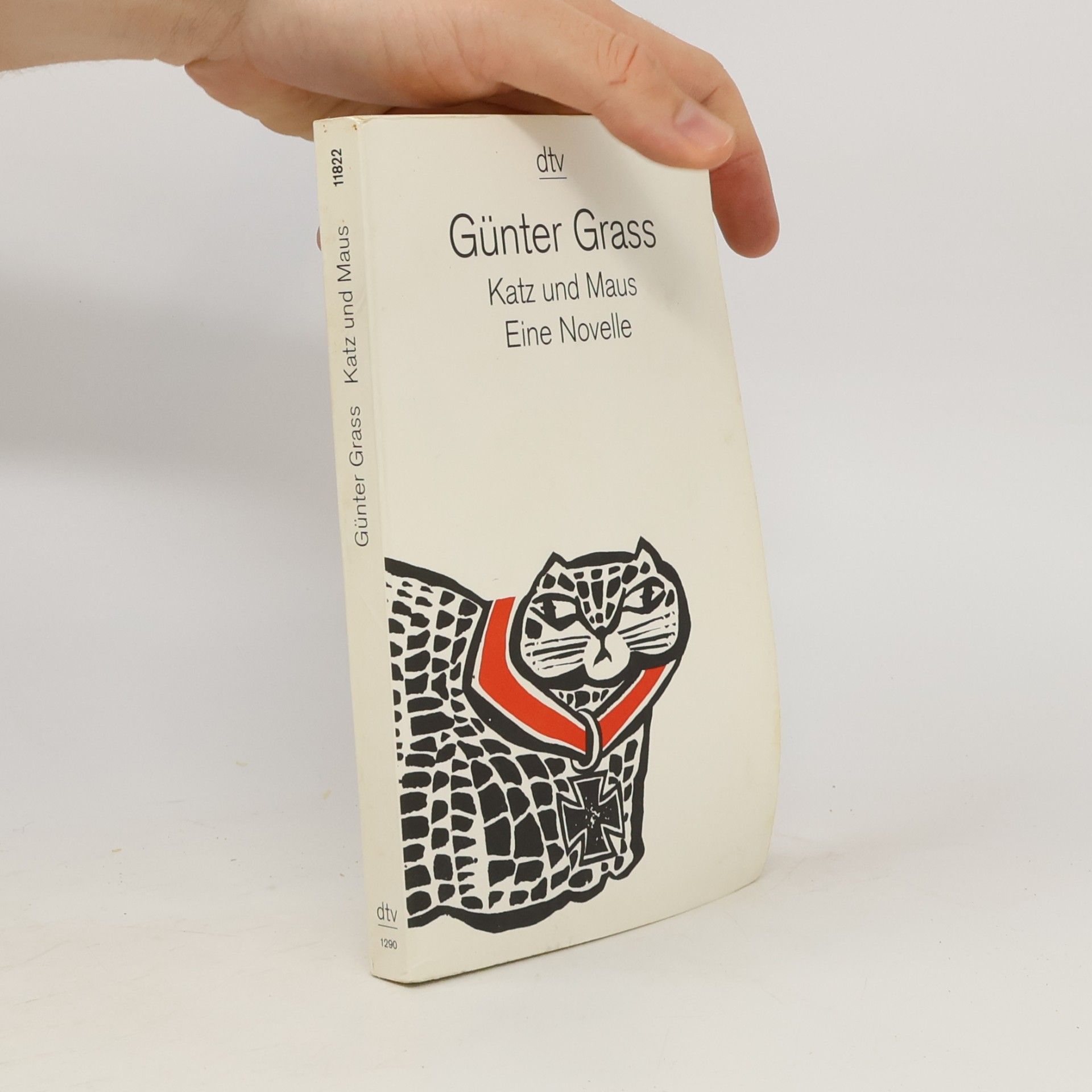 Günter Grass Katz und Maus. Eine novelle