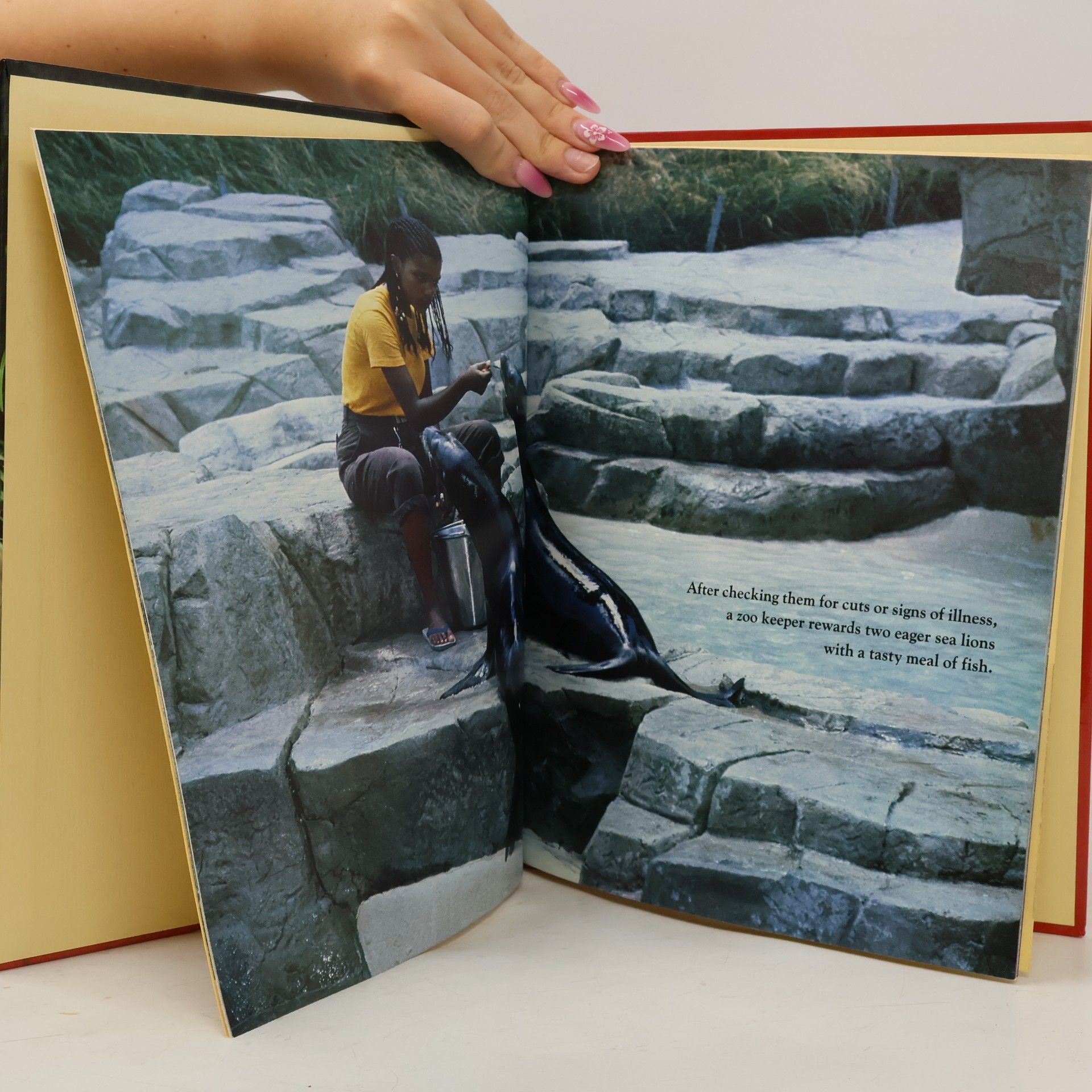 Judith E. Rinard Books for Young Explorers: What Happens at the Zoo