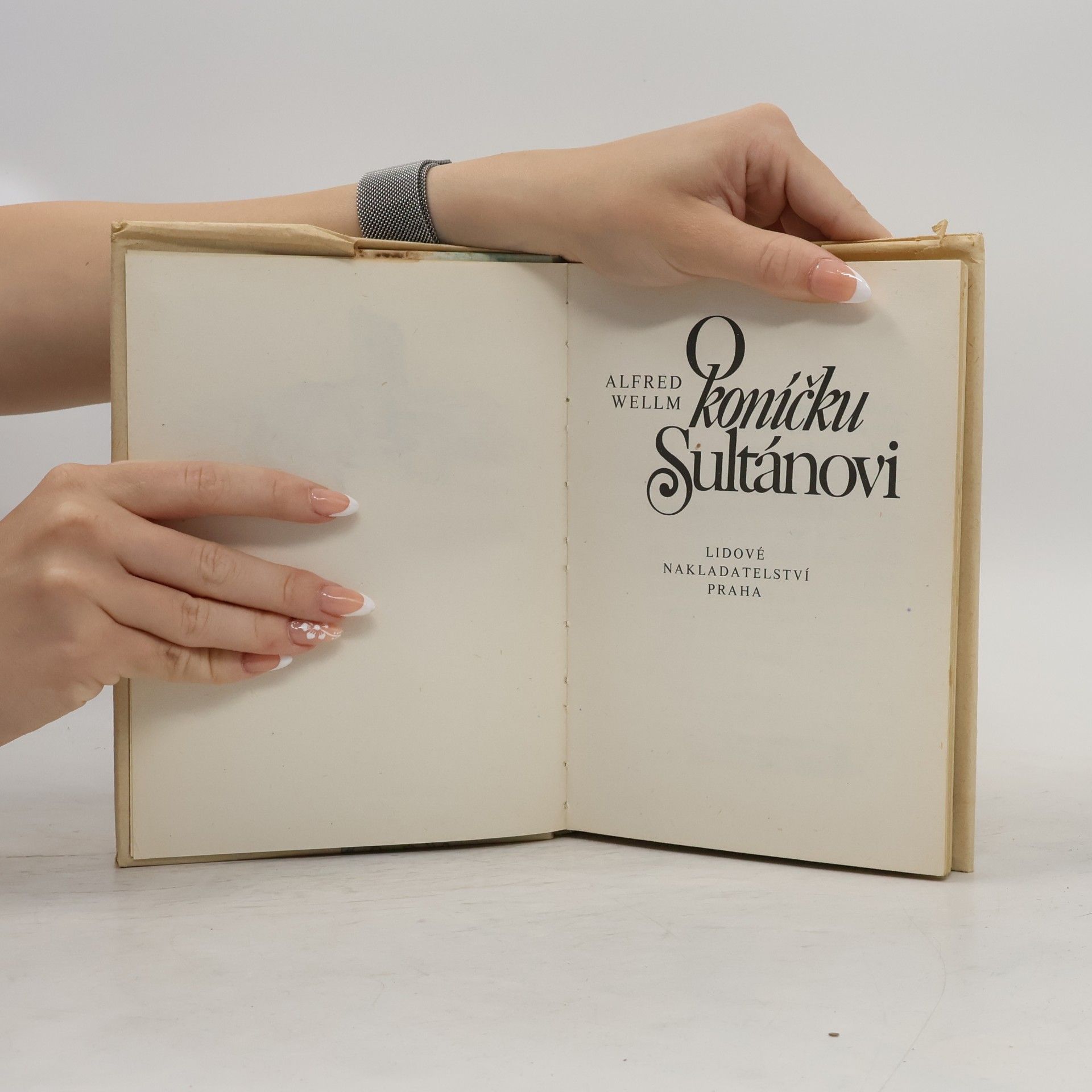 Alfred Welm O koníčku Sultánovi