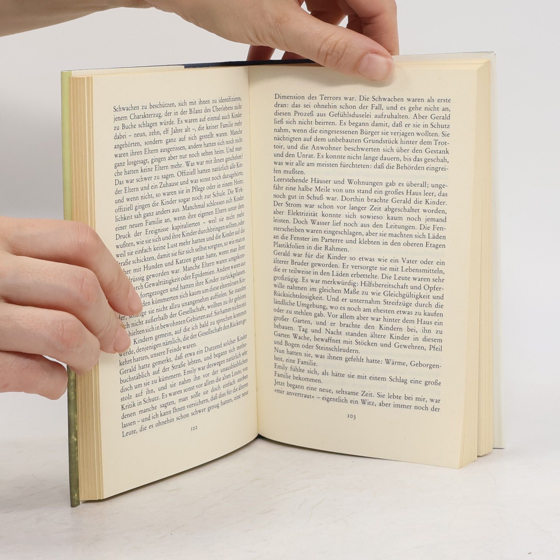 Doris May Lessing Die Memoiren einer Überlebenden