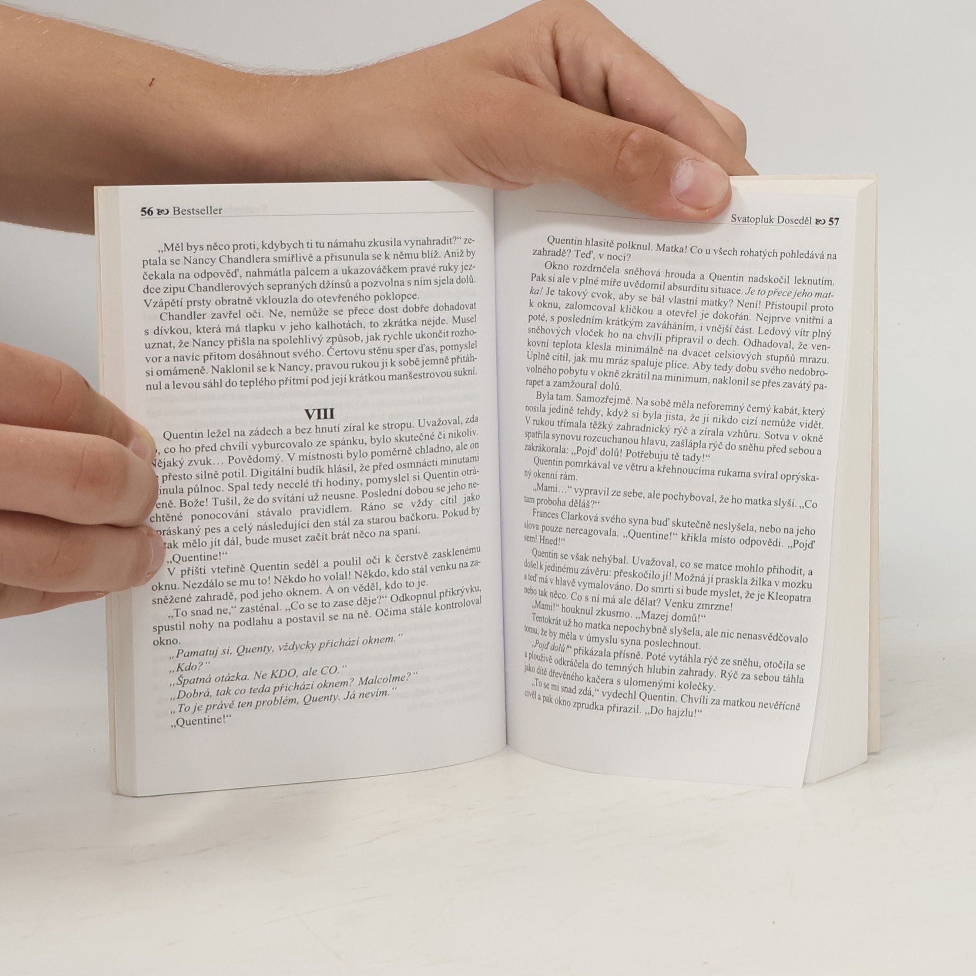 Svatopluk Doseděl Bestseller