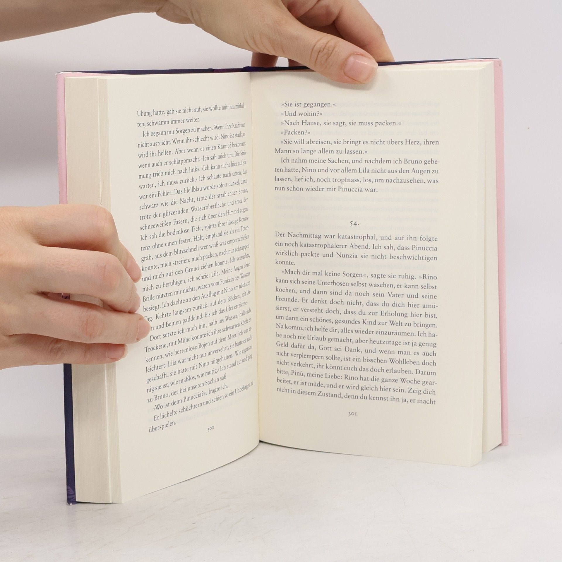 Elena Ferrante Die Geschichte eines neuen Namens: Jugendjahre