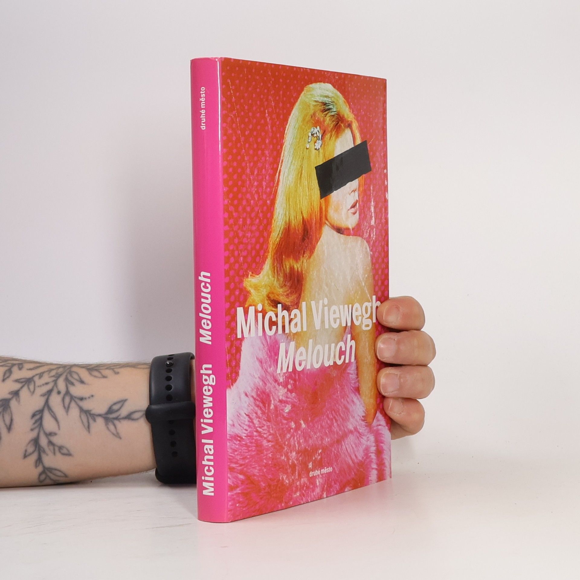 Michal Viewegh Melouch