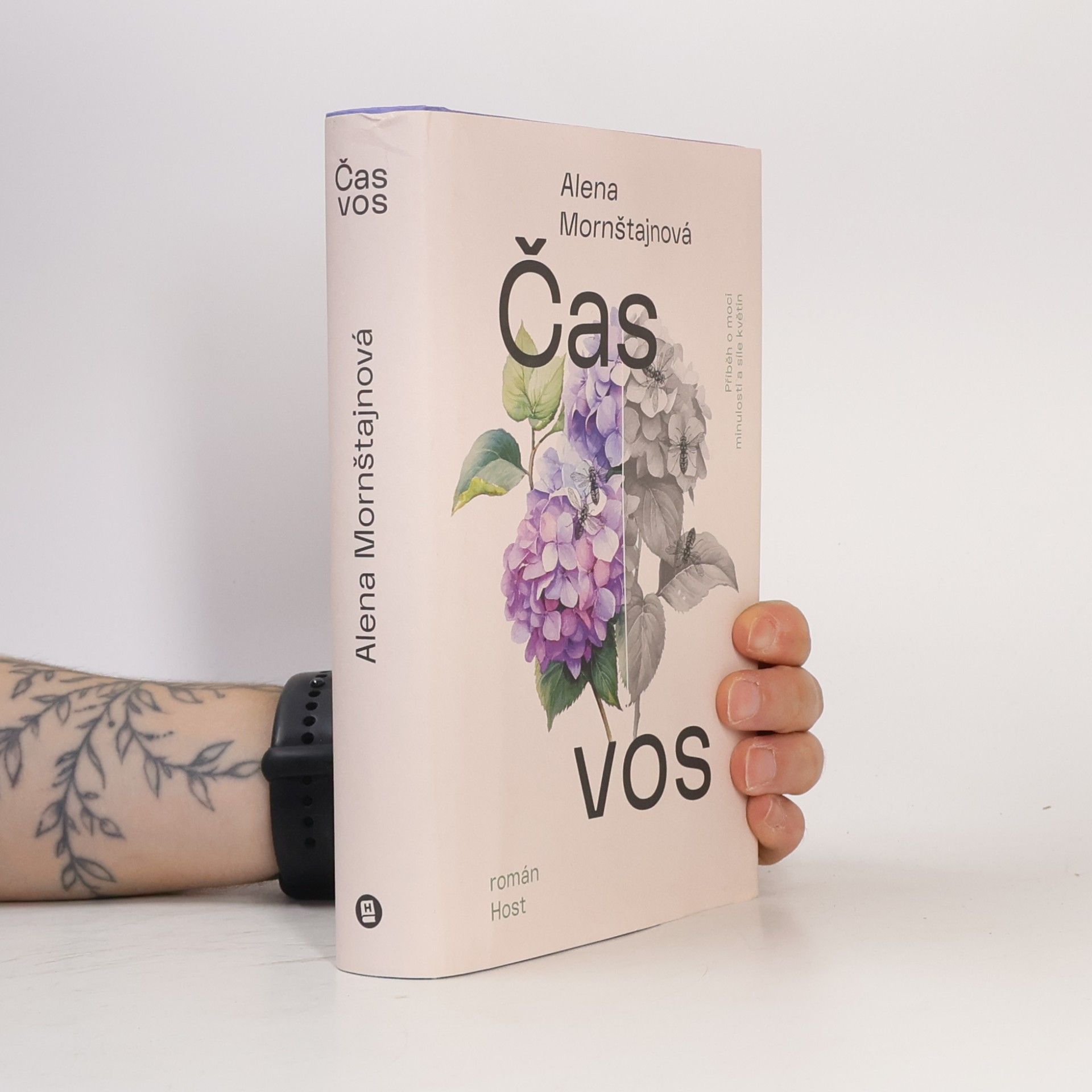 Alena Mornštajnová Čas vos