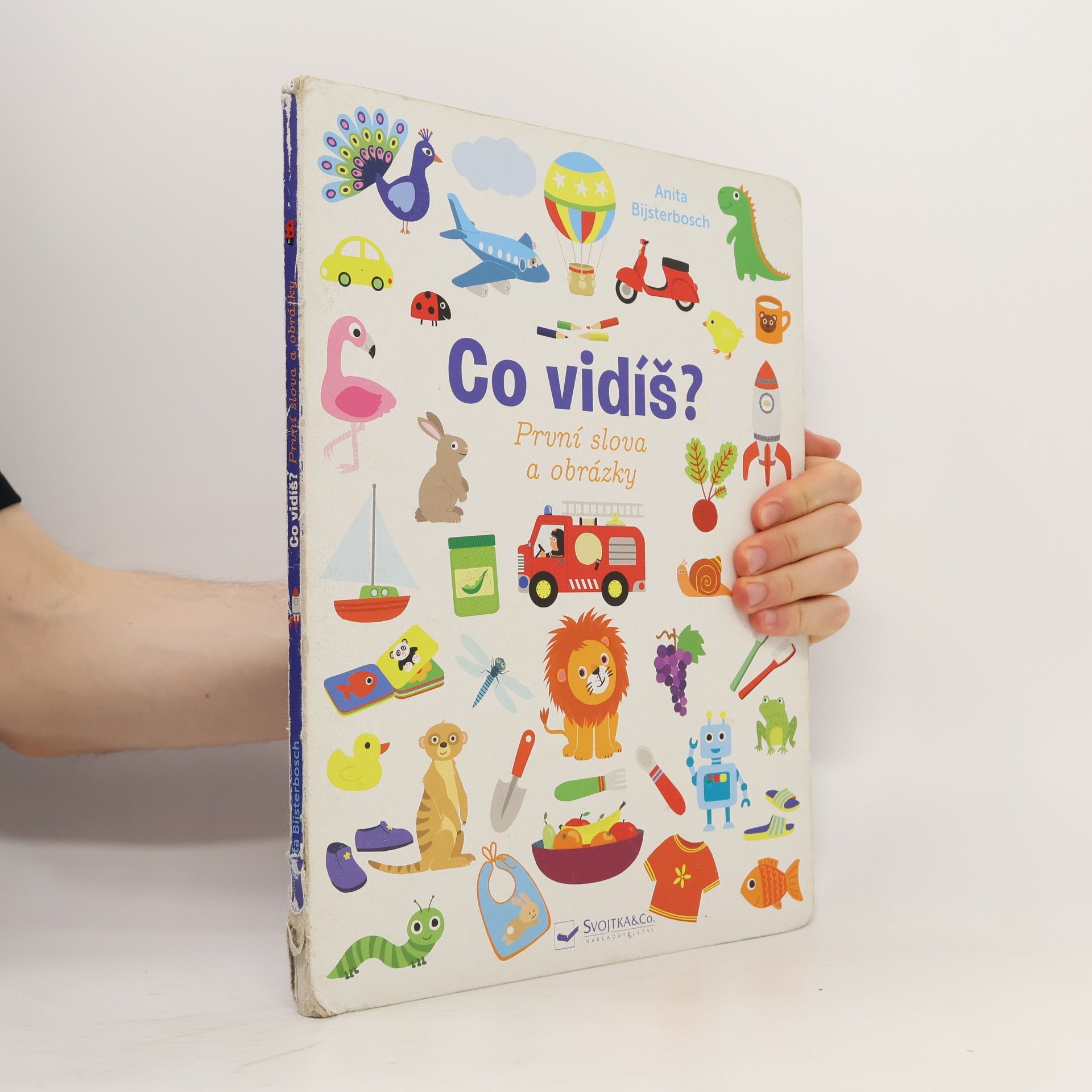 Anita Bijsterbosch Co vidíš? První slova a obrázky