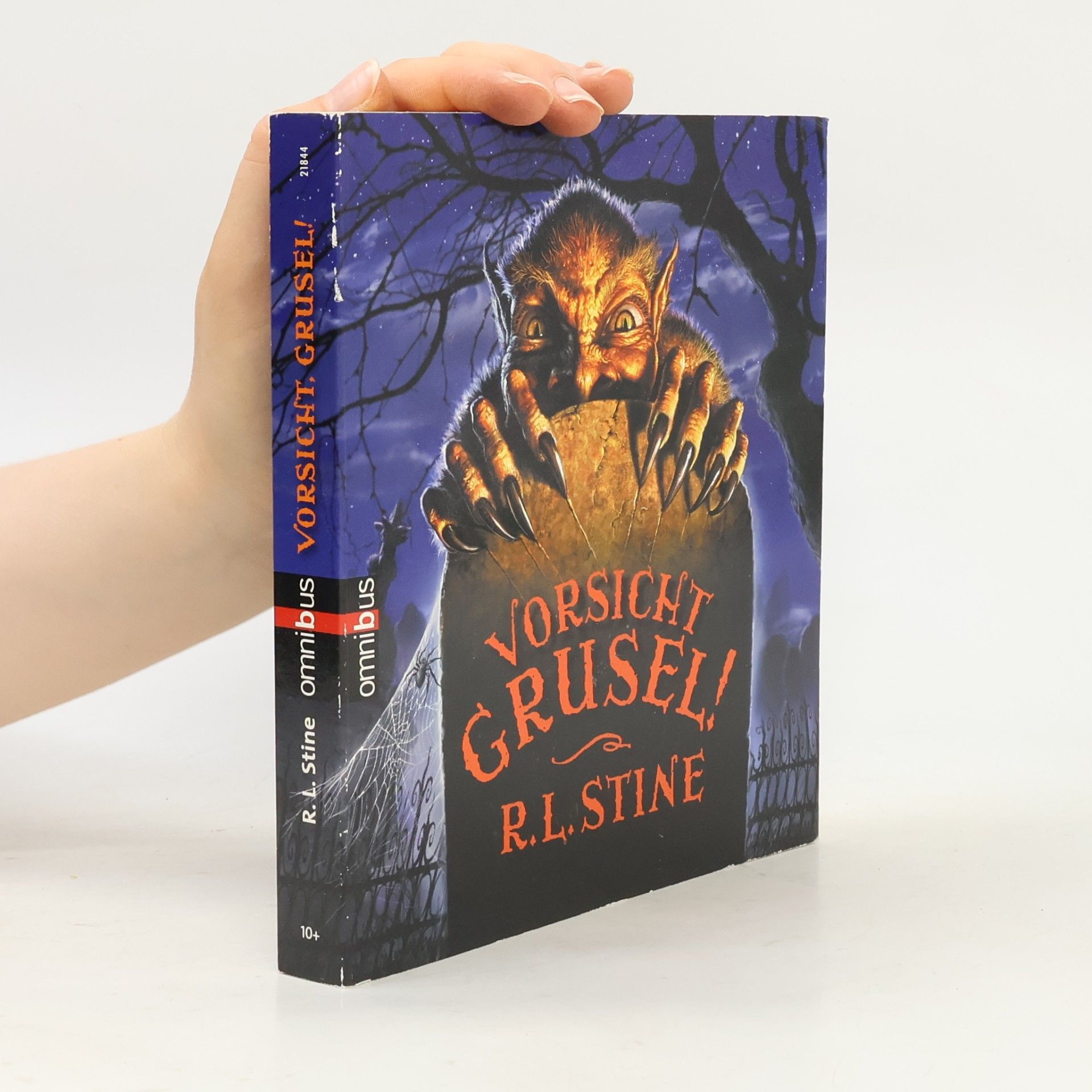 R. L. Stine Vorsicht, Grusel!