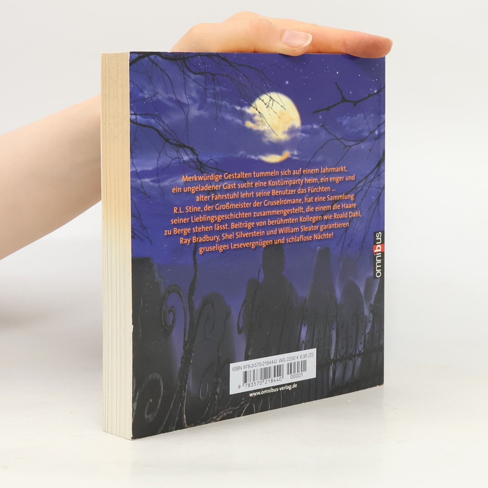 R. L. Stine Vorsicht, Grusel!