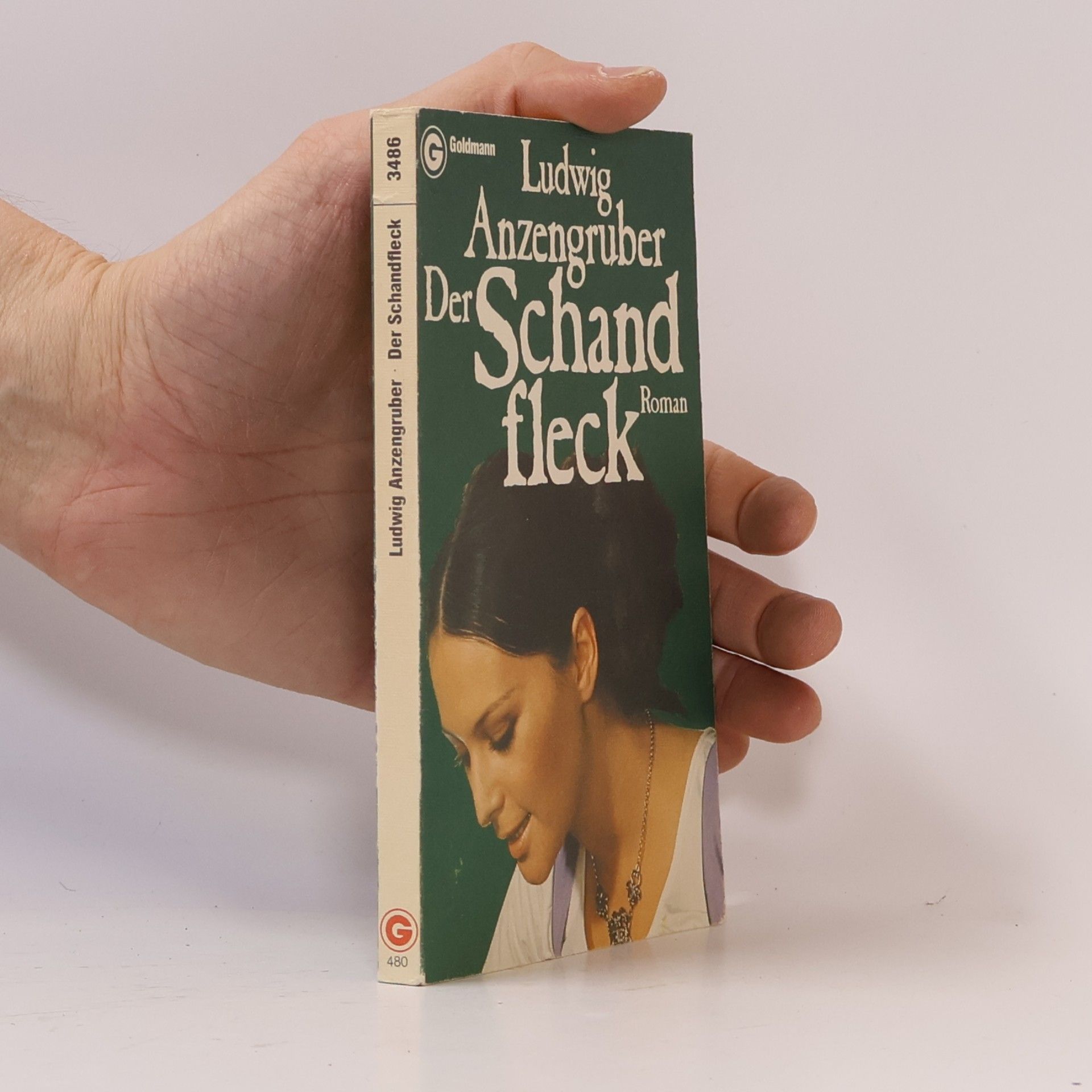 Ludwig Anzengruber Der Schandfleck