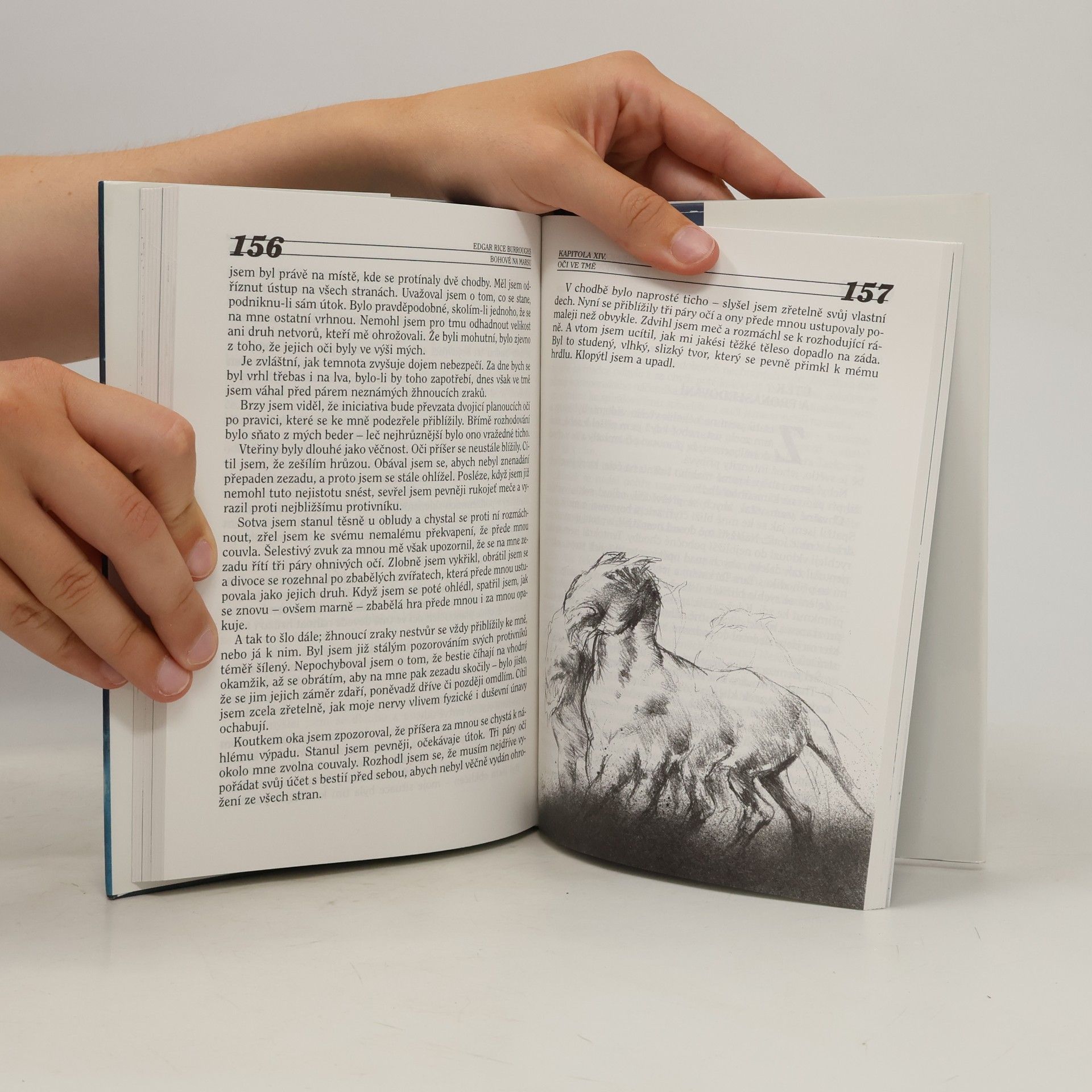 Edgar Rice Burroughs Bohové na Marsu (John Carter, pán Marsu)